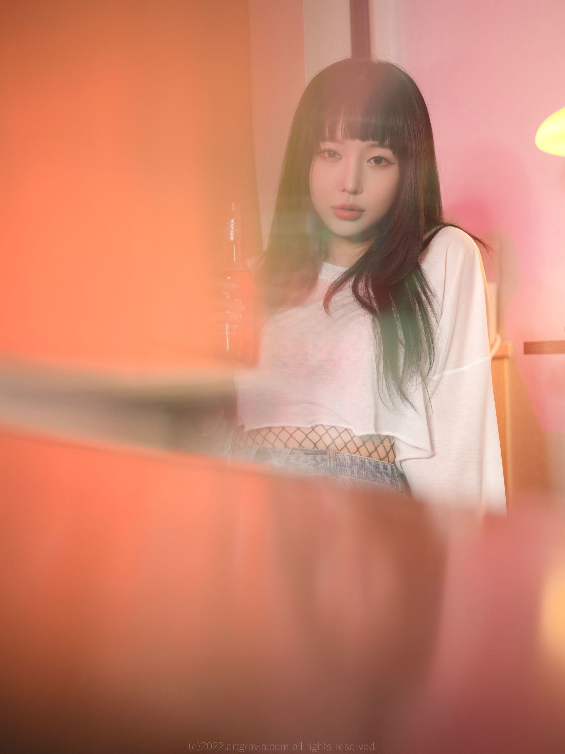 [ARTGRAVIA] VOL.413 Parkhaag [80P]