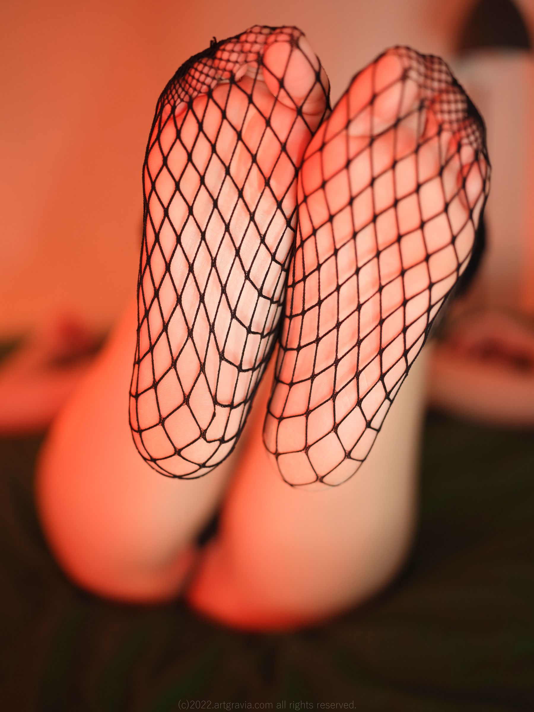 [ARTGRAVIA] VOL.413 Parkhaag [80P]