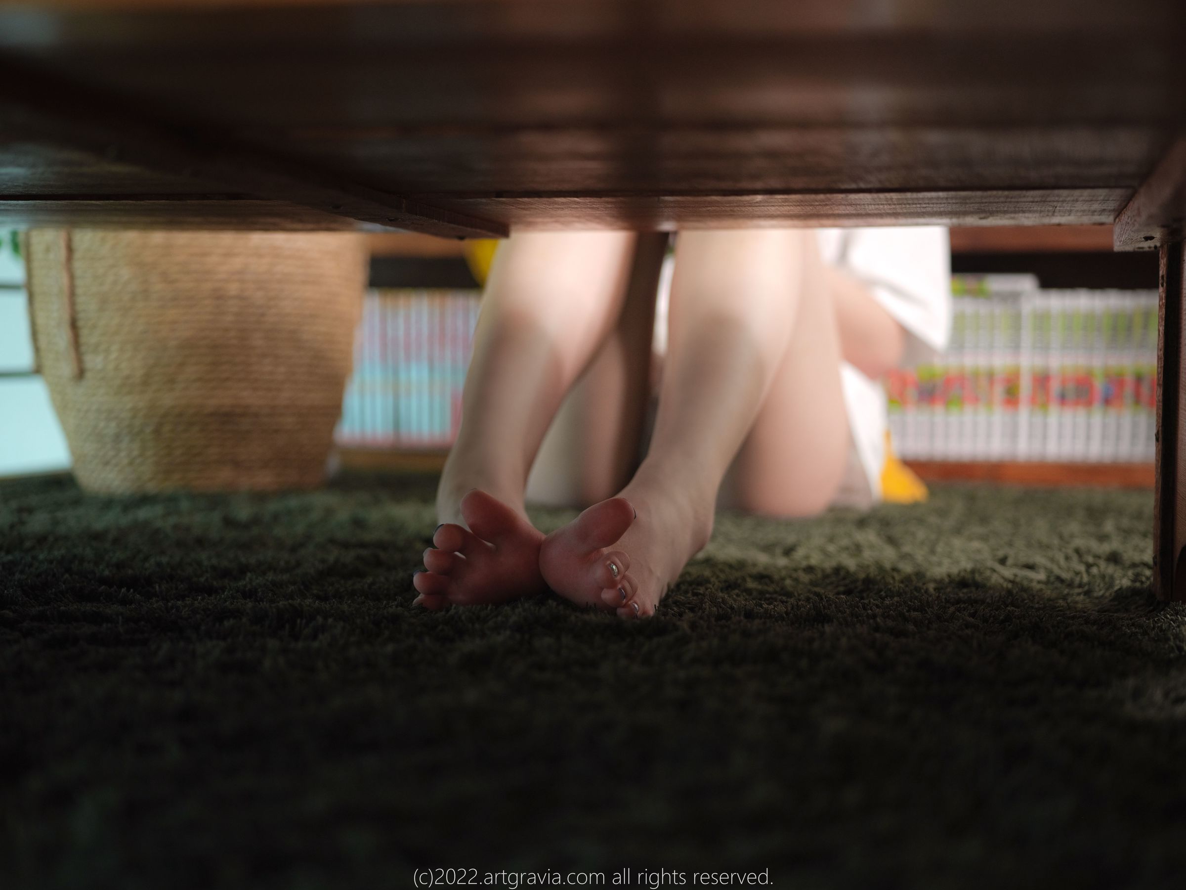 [ARTGRAVIA] VOL.424 Parkhaag [88P]