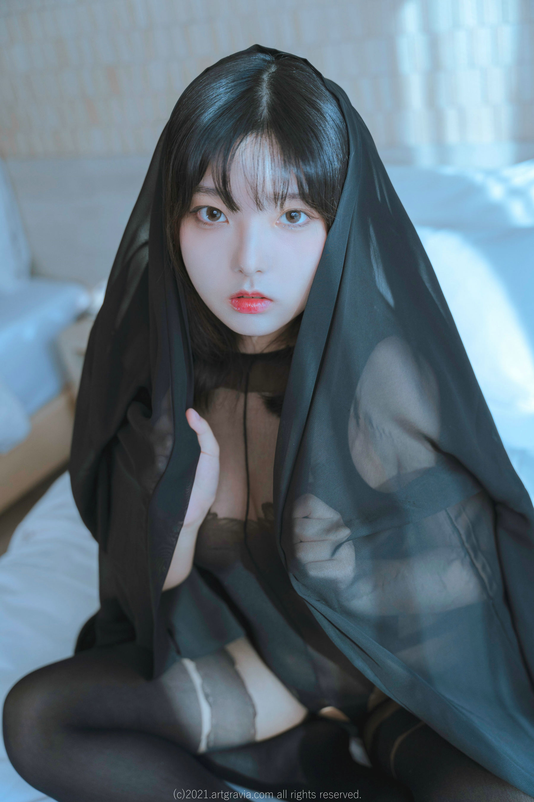 [ARTGRAVIA] Hansom [93P]