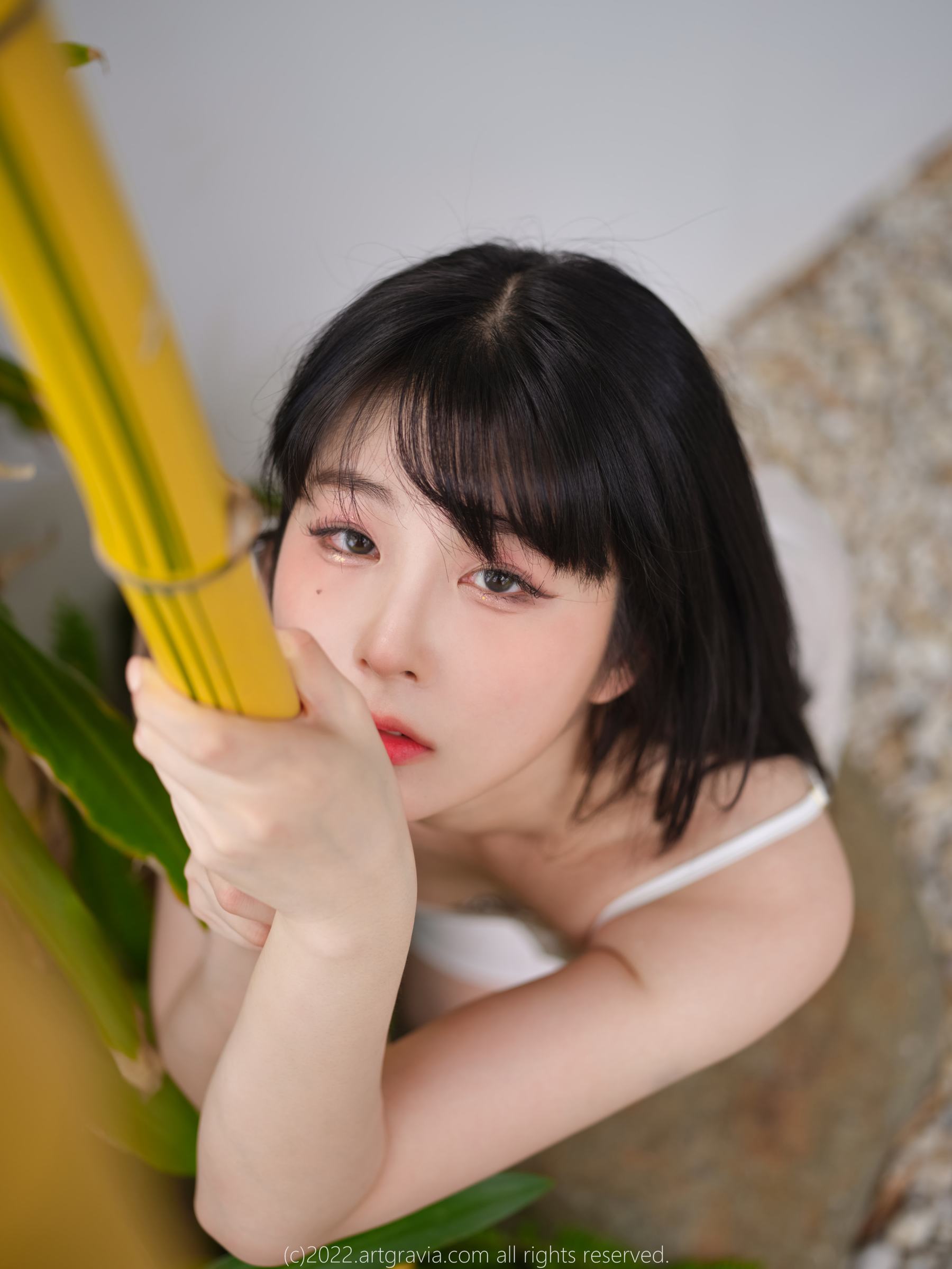 [ARTGRAVIA] VOL.454 JangJoo [73P]