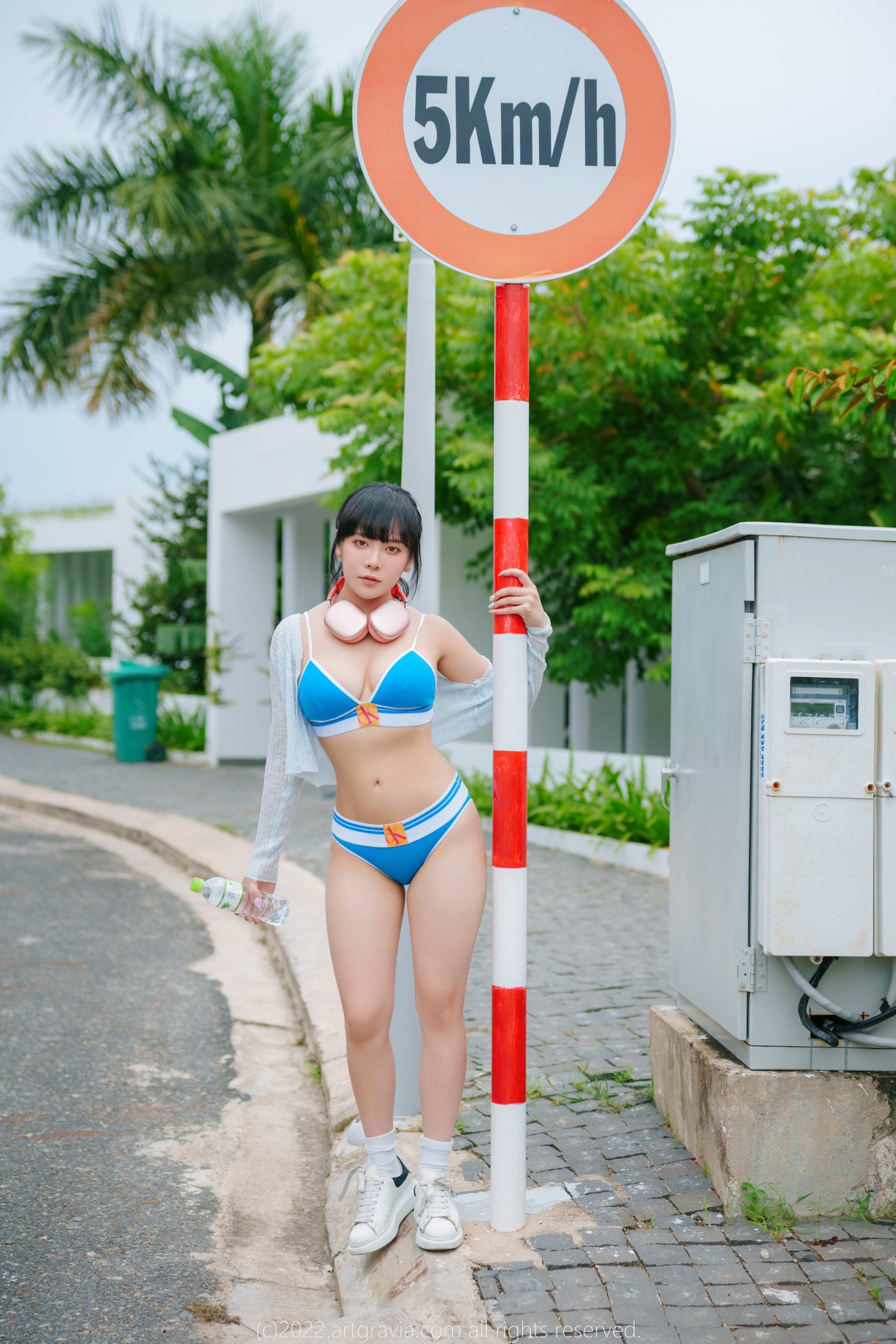 [ARTGRAVIA] VOL.455 Dami [85P]