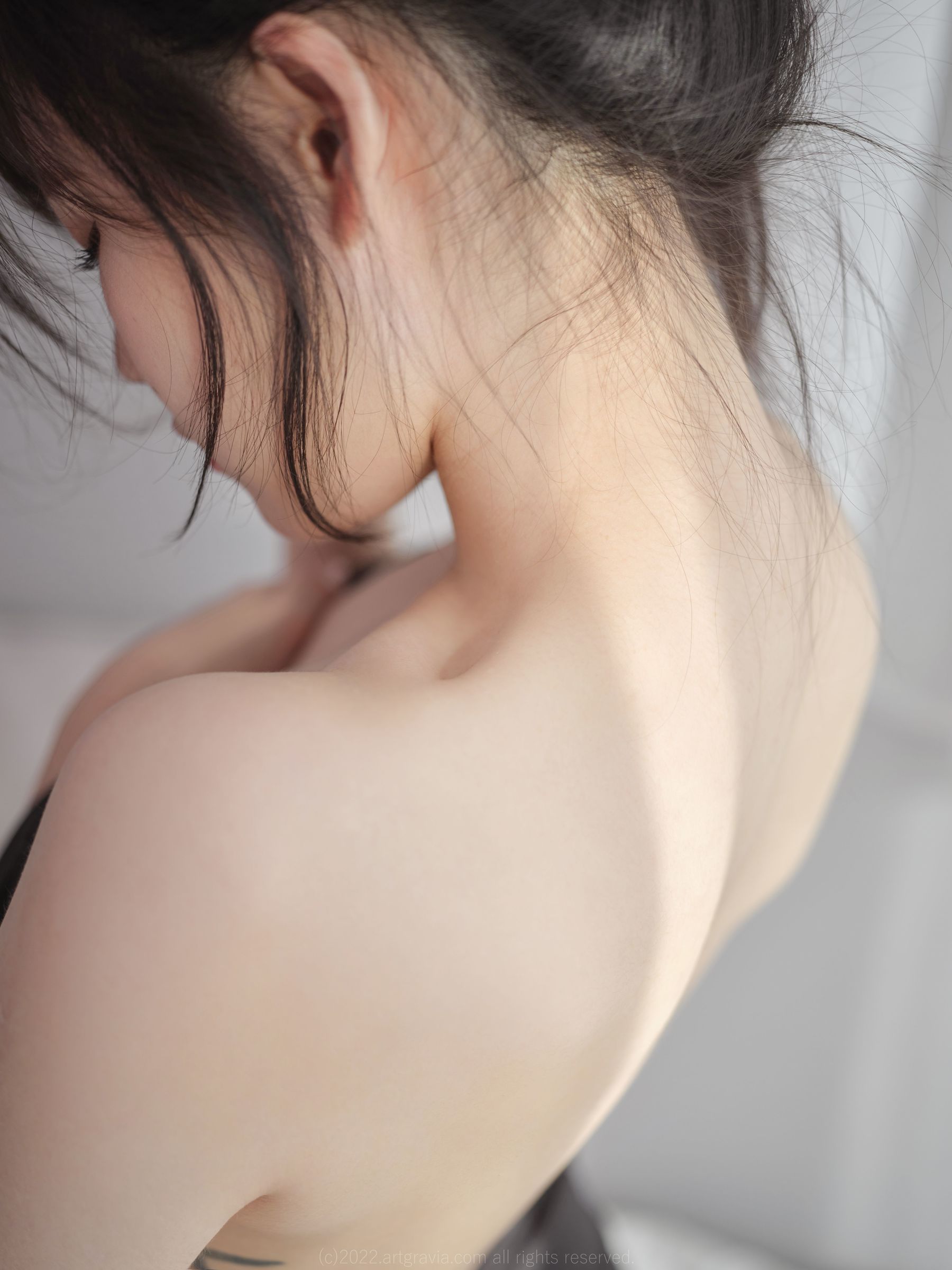 [ARTGRAVIA] VOL.392 Merry [95P]