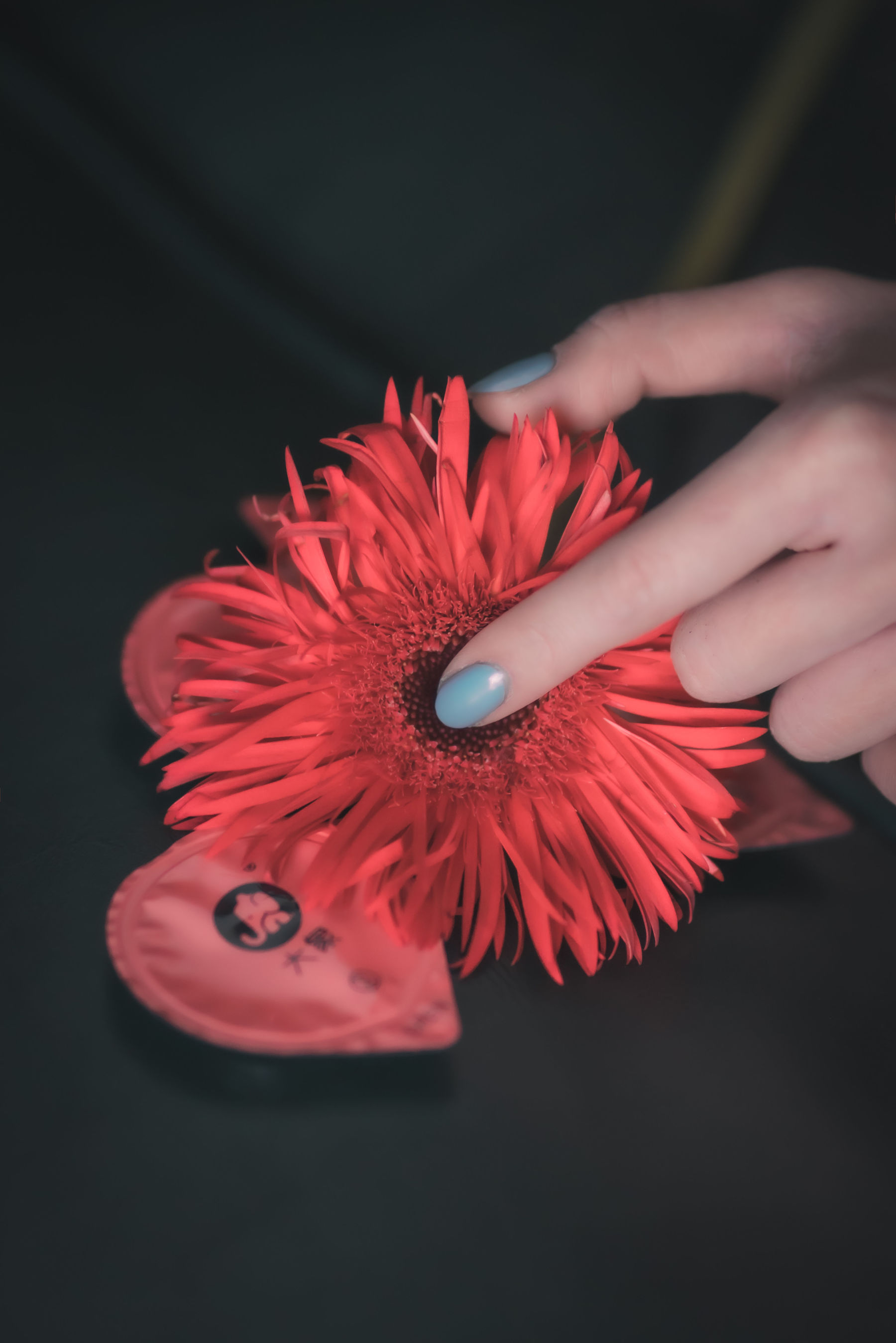 COS少女星野咪兔 – 花吃了那女孩 [20P]