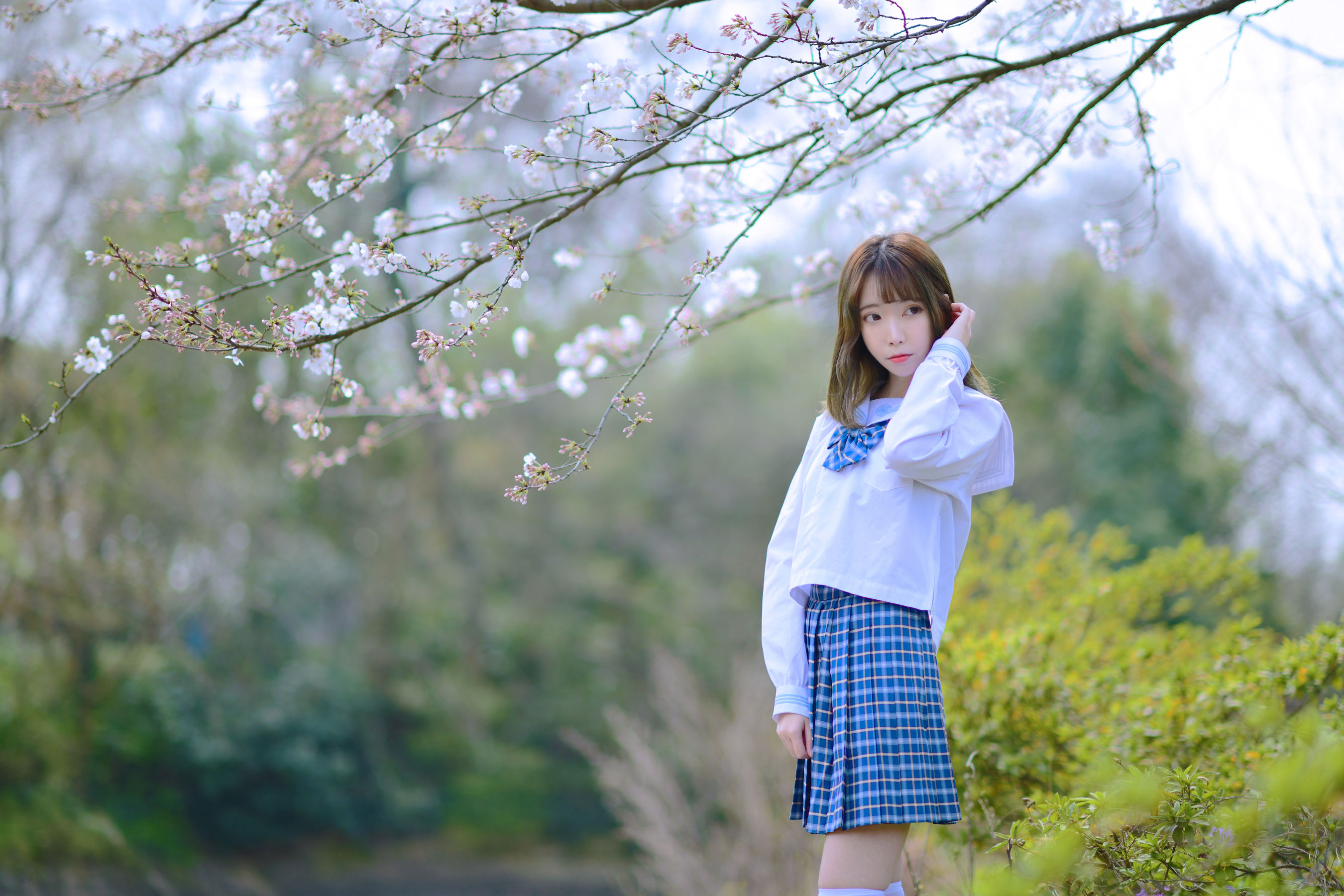 可爱妹子Fushii_海堂 – 樱花树下 [41P]