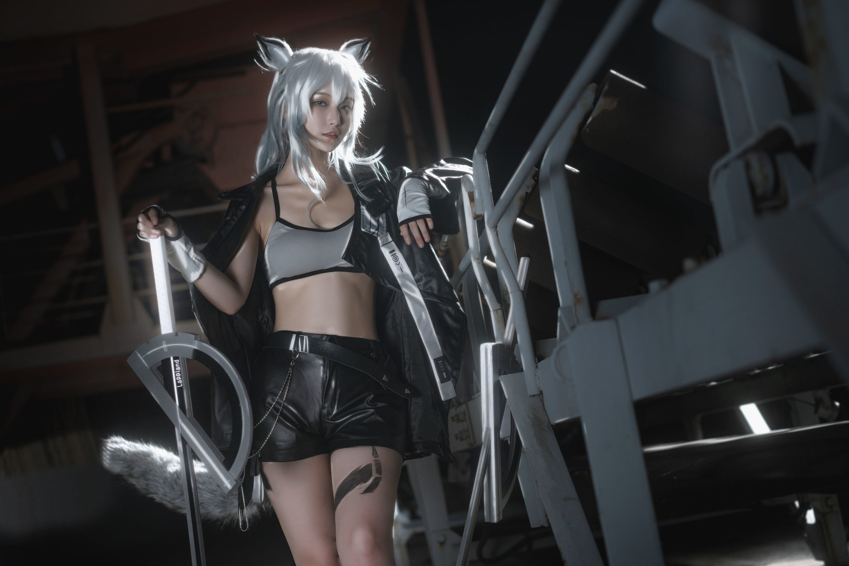 动漫博主铁板烧鬼舞w – 拉普兰德 [18P]