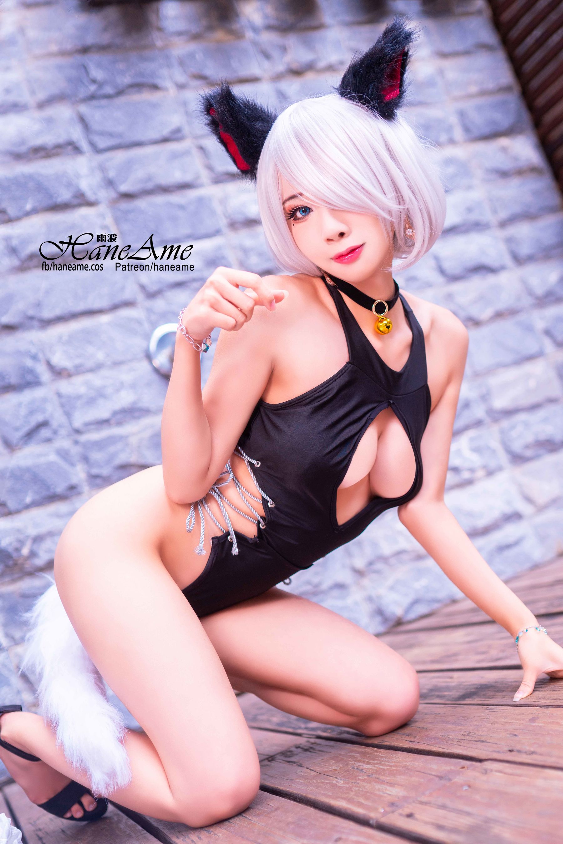 雨波_HaneAme 兽耳少女 Yokina [25P]