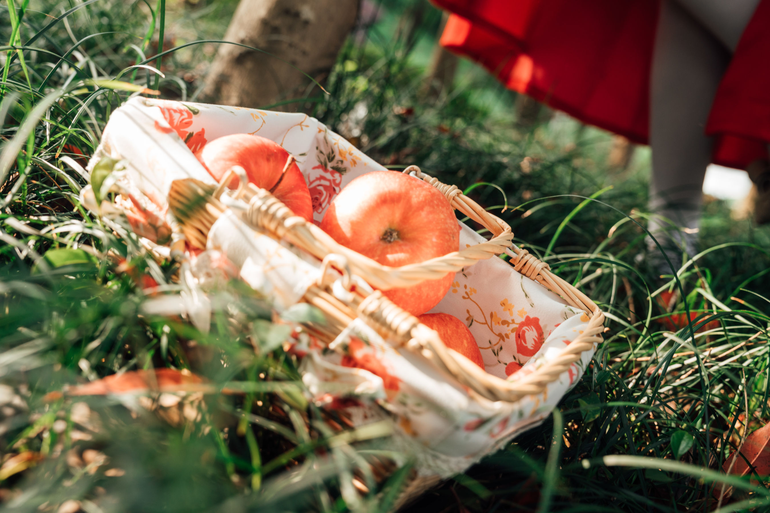 萌妹奈汐酱nice – 大红帽 [26P]