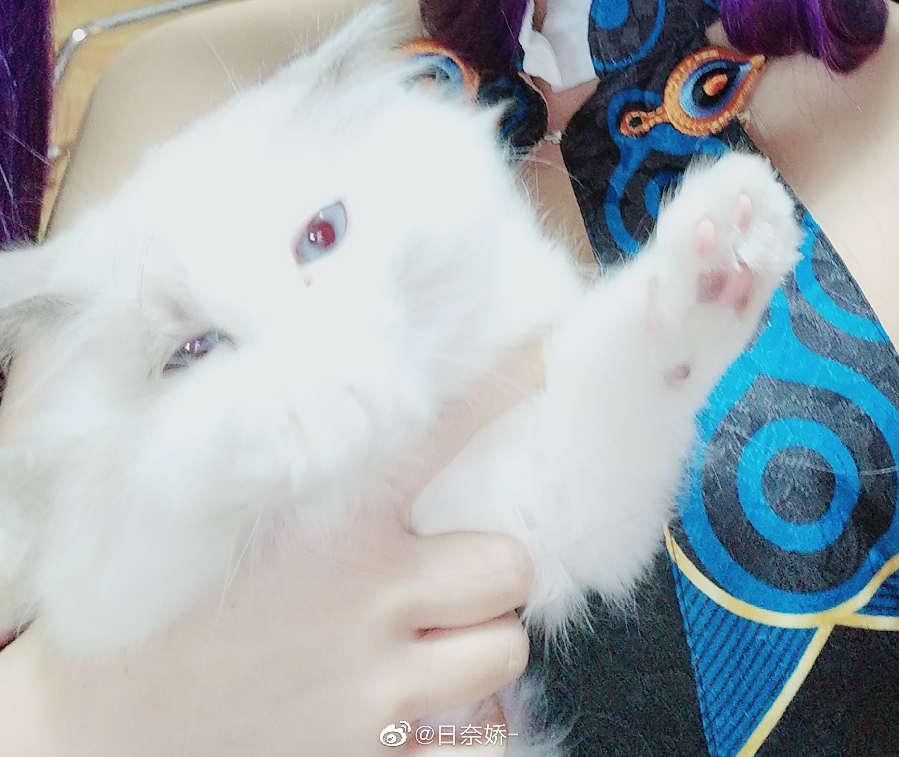 日奈娇 – 杨贵妃 [17P]