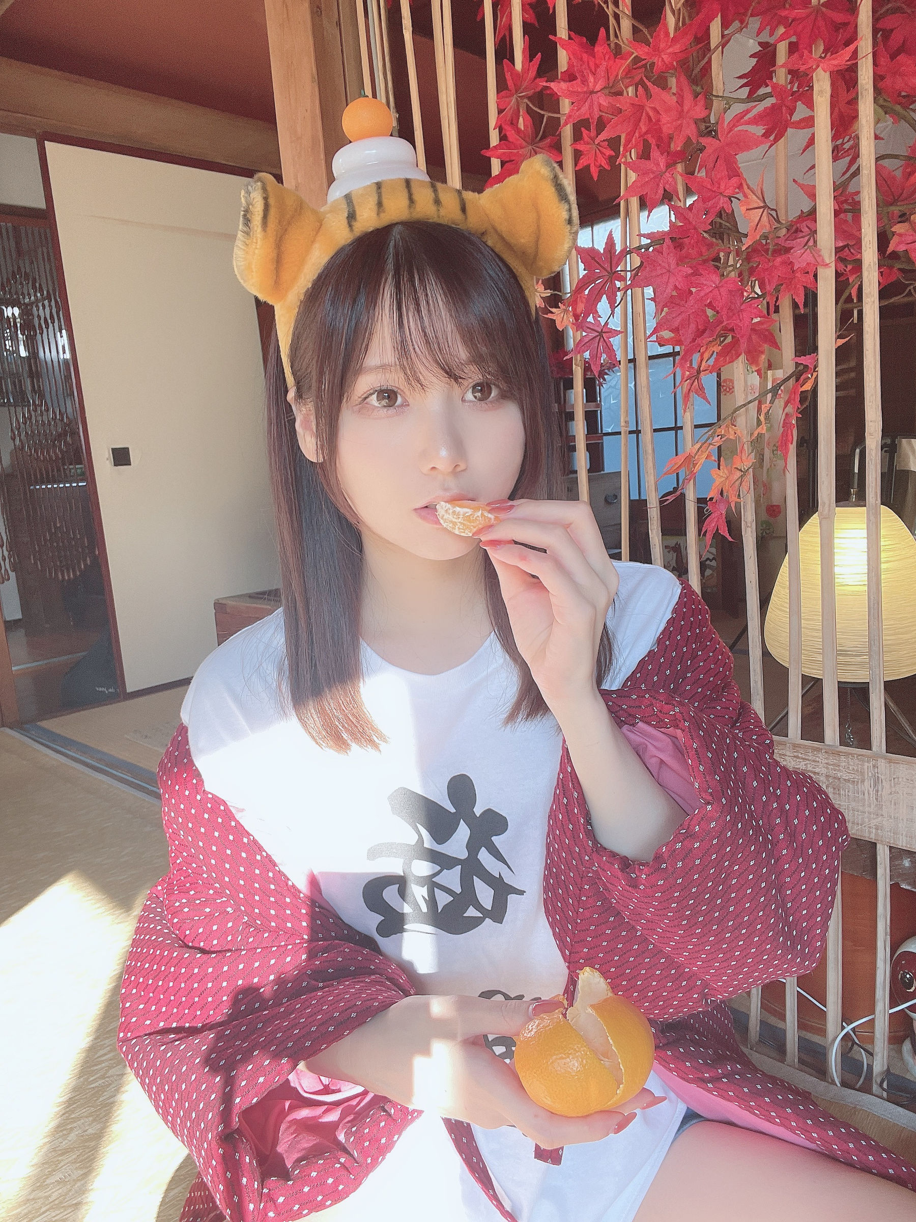 日本甜美COSERけんけん[fantia] 20220104-寅年 [19P]