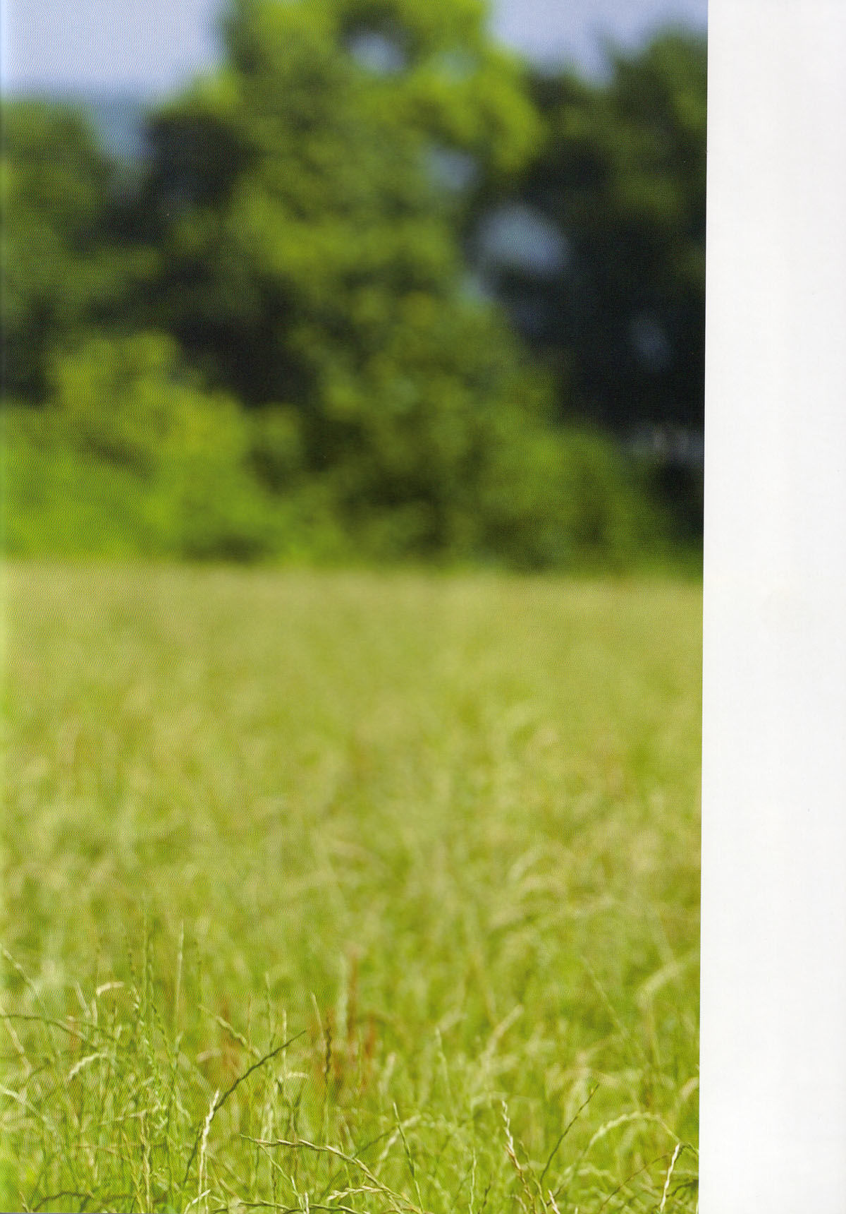 堀北真希 映画「アルゼンチンババア」ビジュアルBOOK「Cinematic」 [127P]