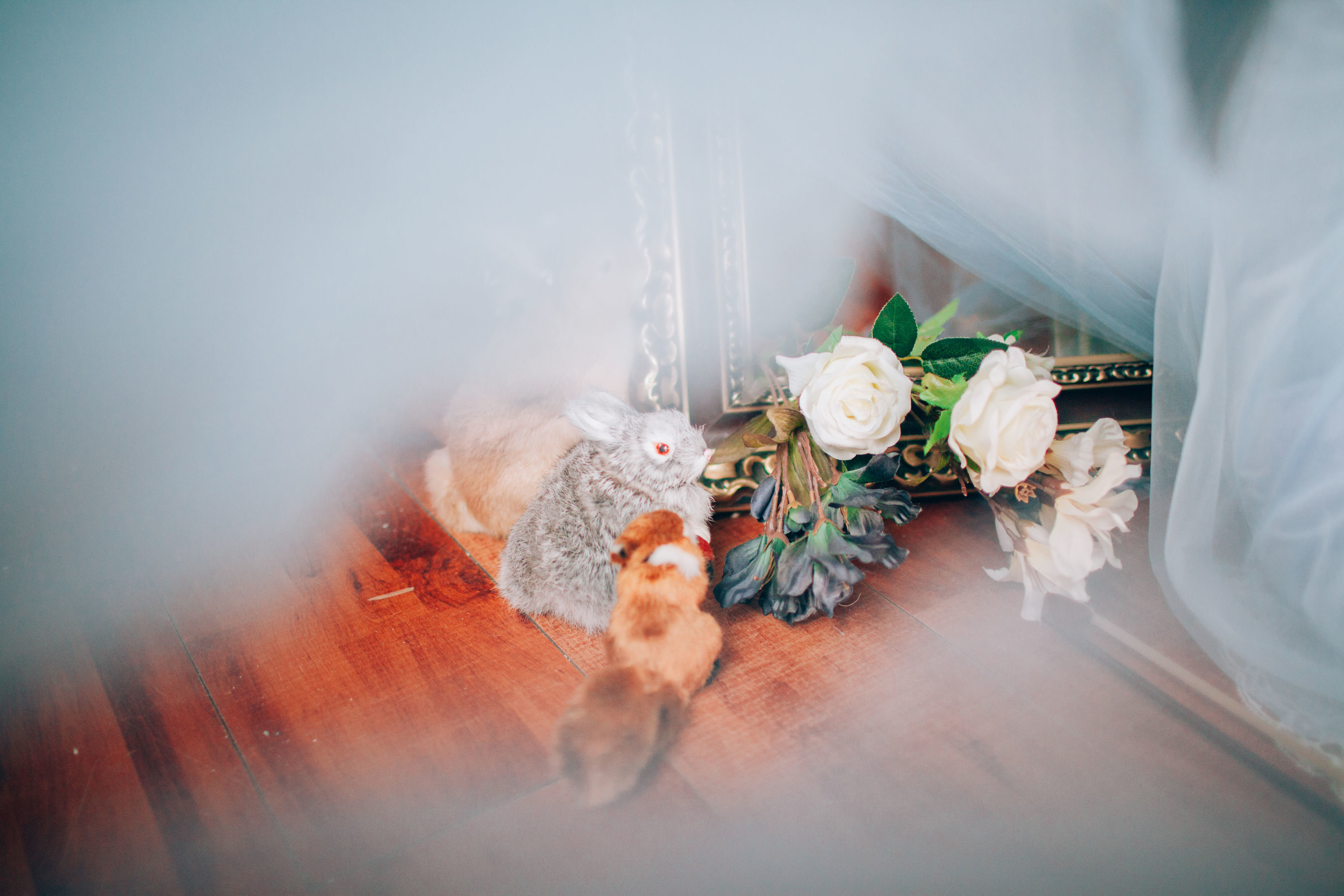 可爱妹妹樱群 纱 [19P]