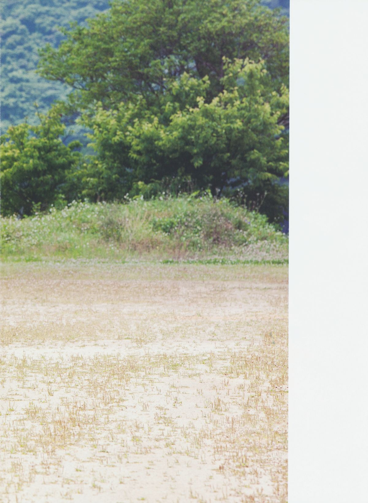 武井咲 《PLUMERIA》 摄影：桥本雅司 [96P]