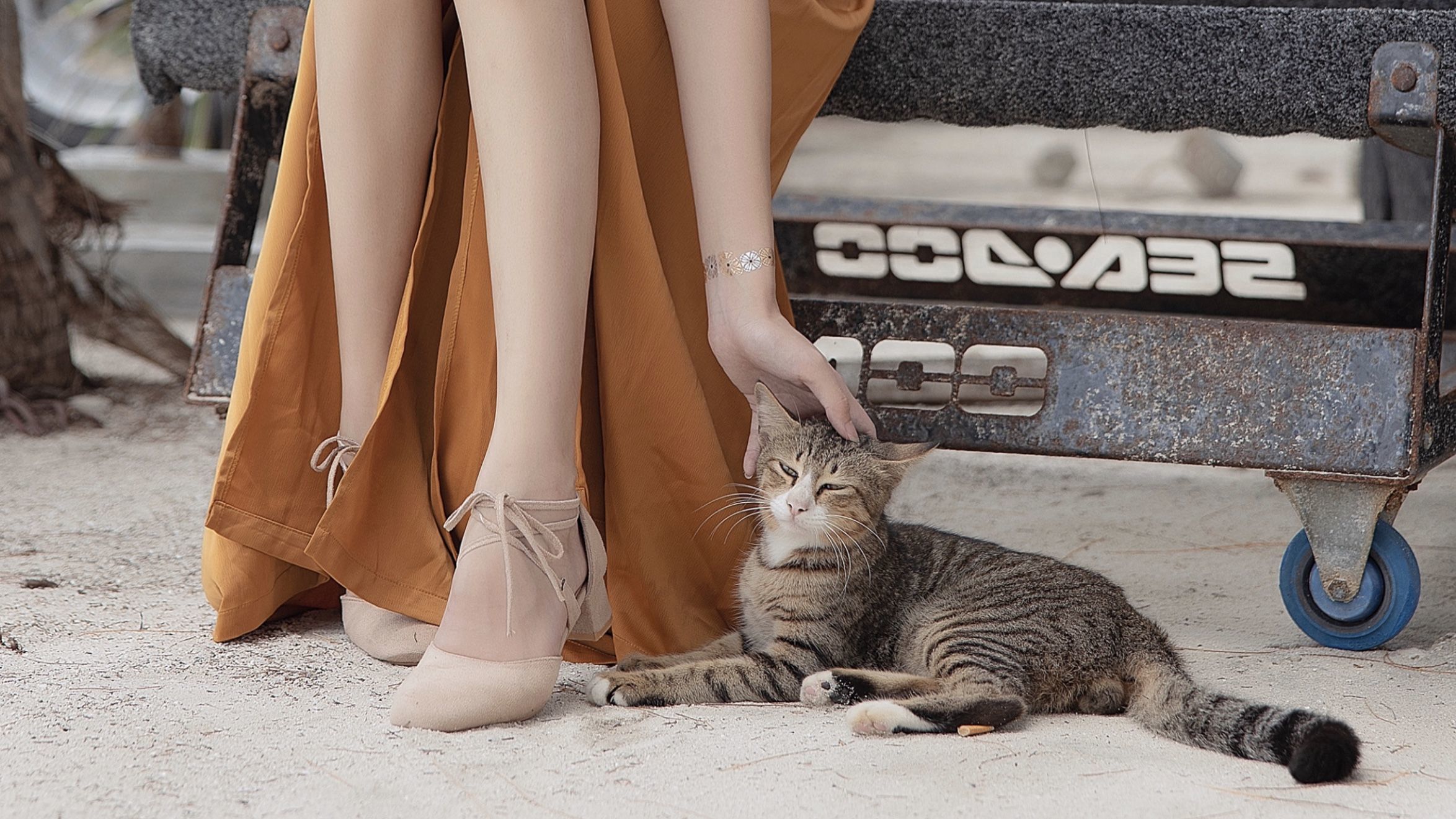 动漫博主南桃Momoko – 黄裤 [10P]