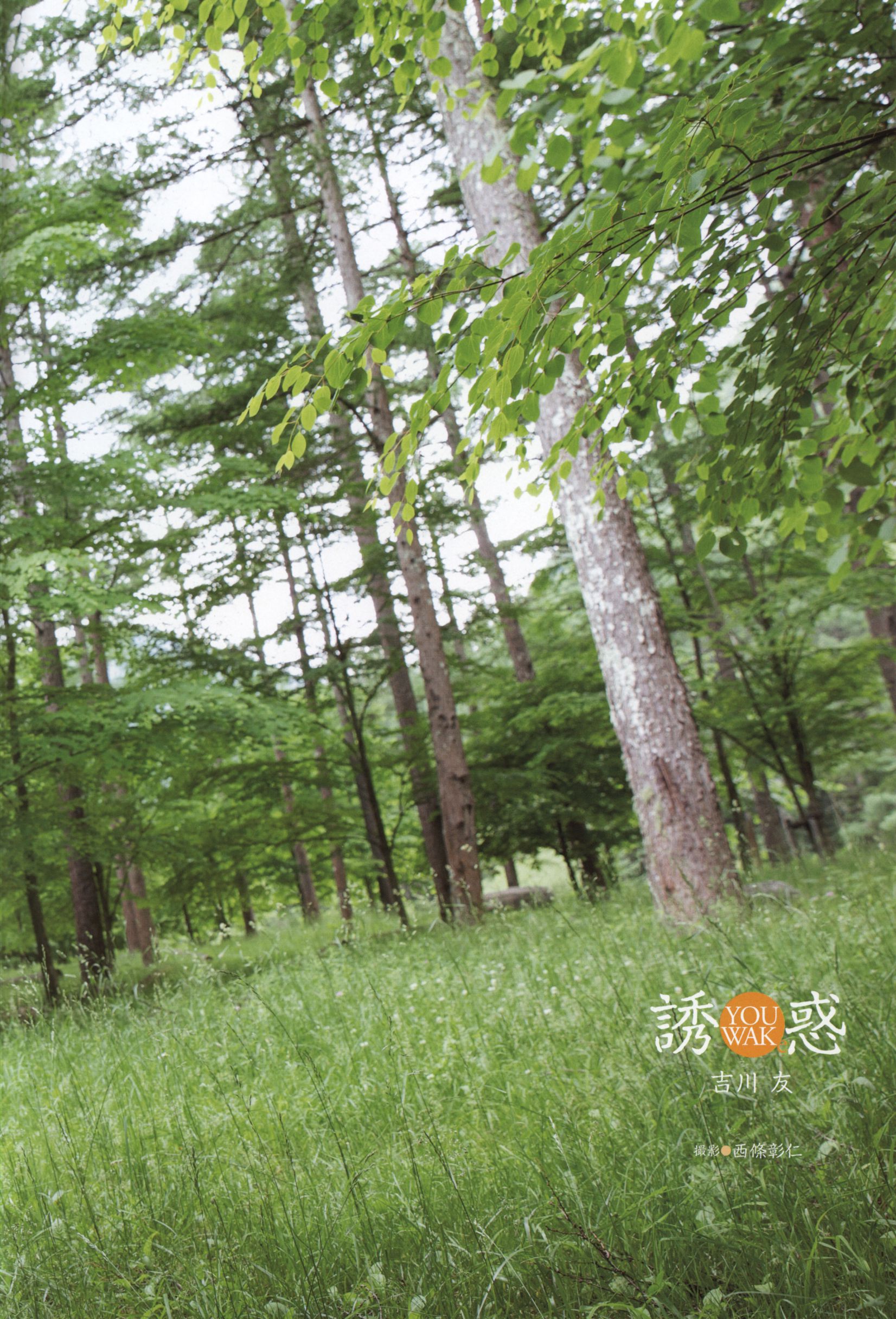 Yuu Kikkawa 吉川友《誘惑》 [69P]