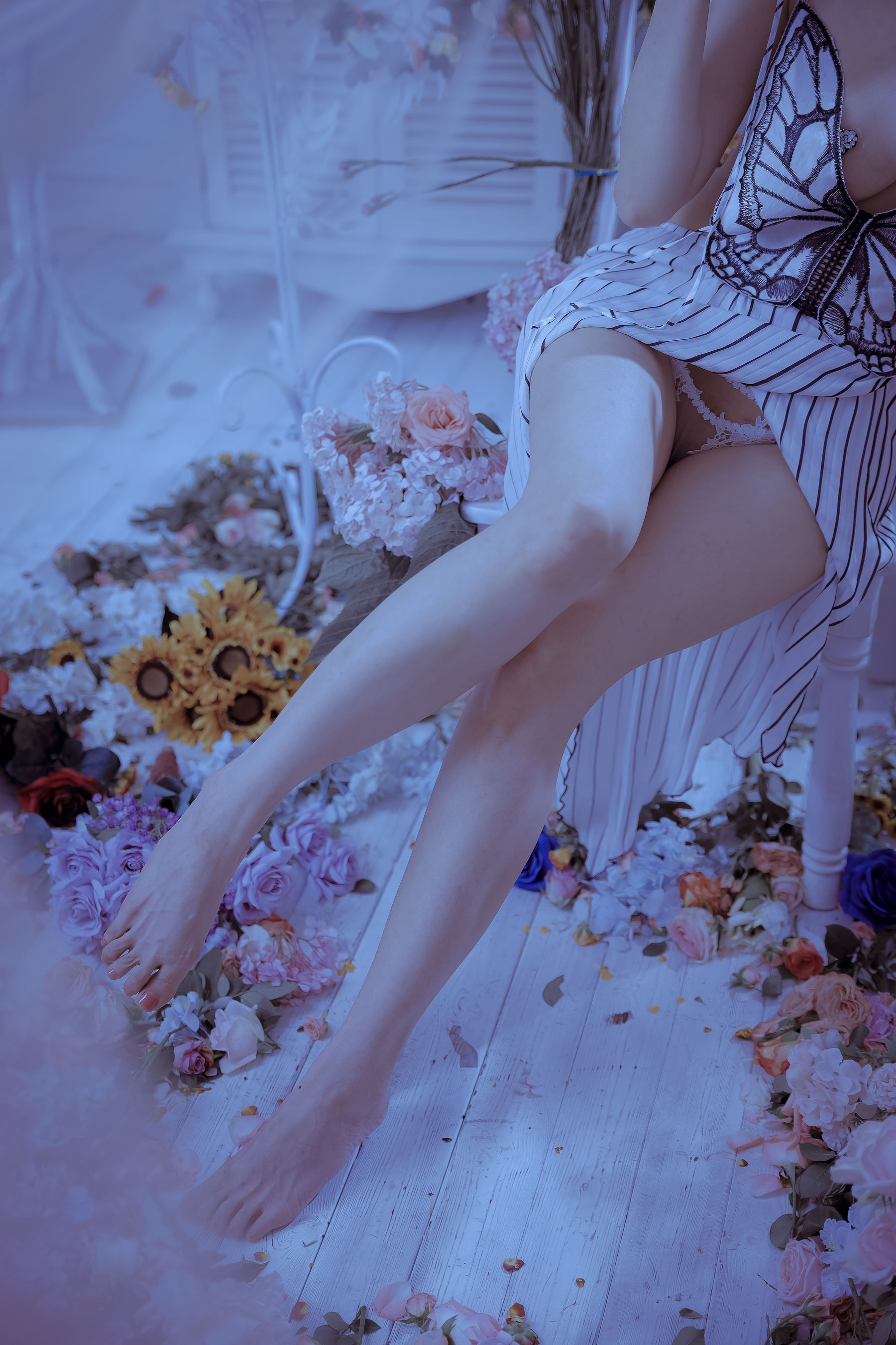 秋和柯基(夏小秋秋秋) – 蝴蝶夫人 [61P]