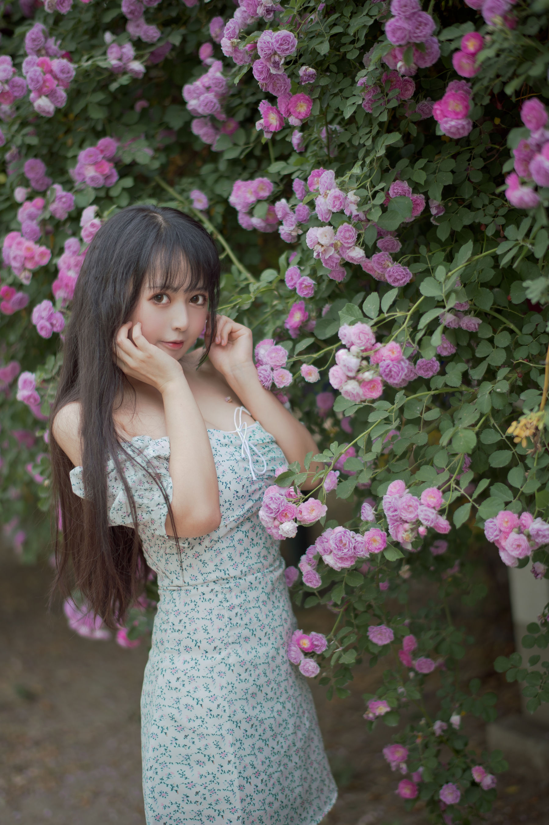 大眼萌妹黑猫猫OvO – 蔷薇2 [27P]