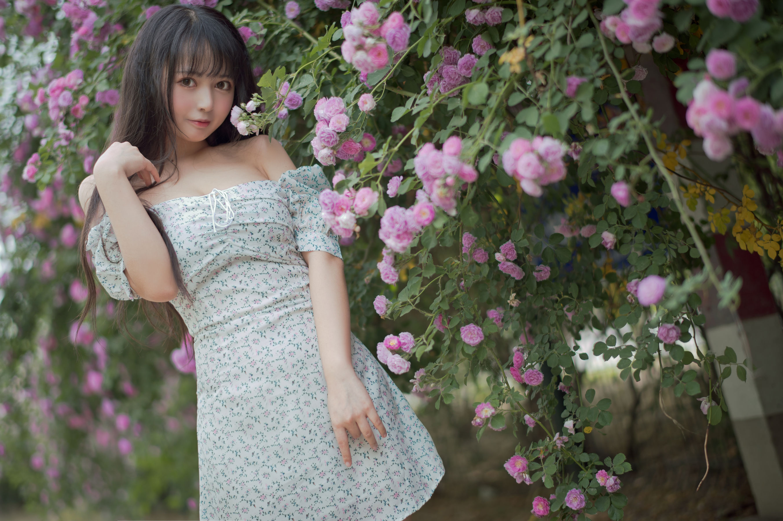 大眼萌妹黑猫猫OvO – 蔷薇2 [27P]