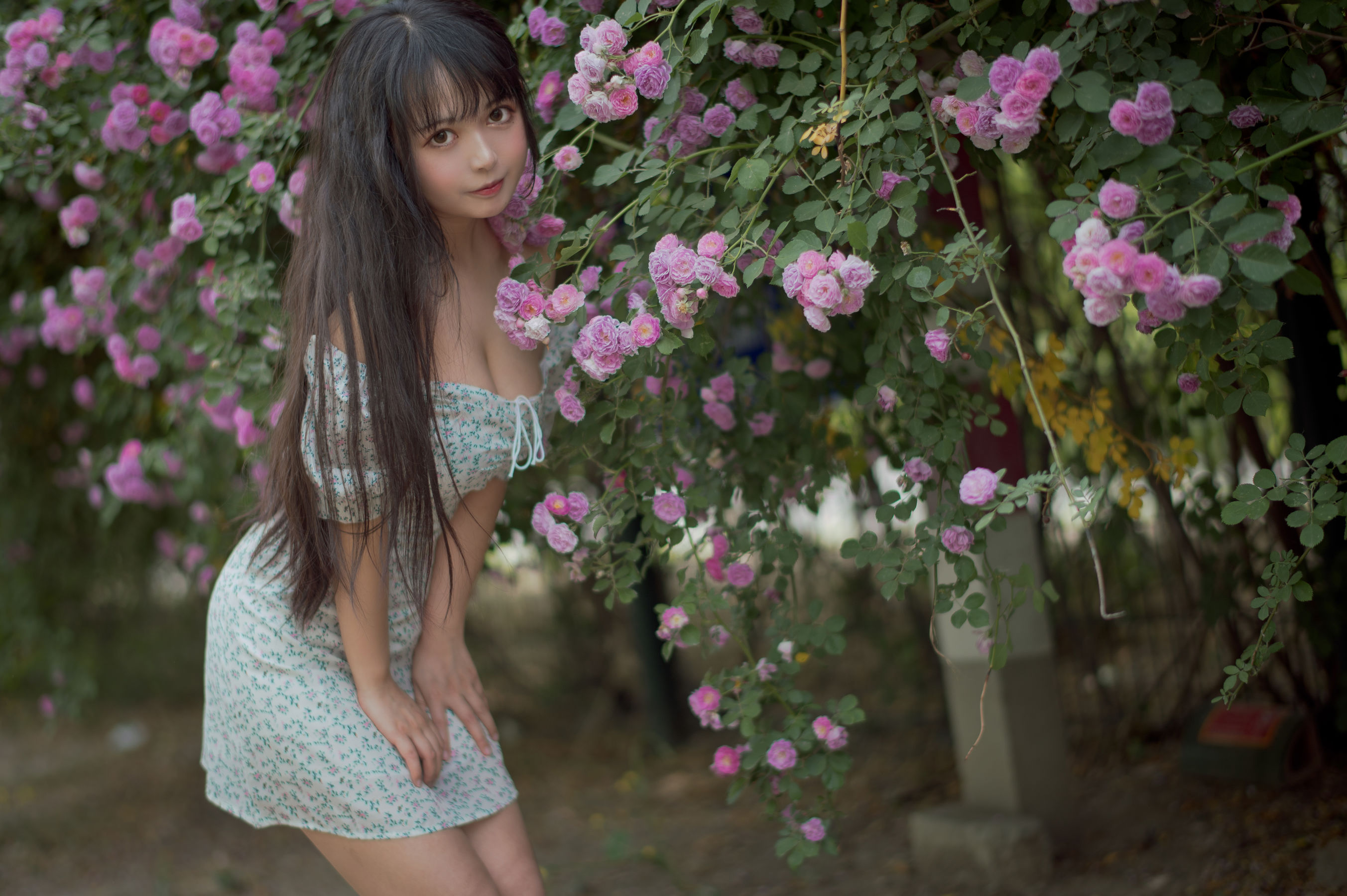 大眼萌妹黑猫猫OvO – 蔷薇2 [27P]