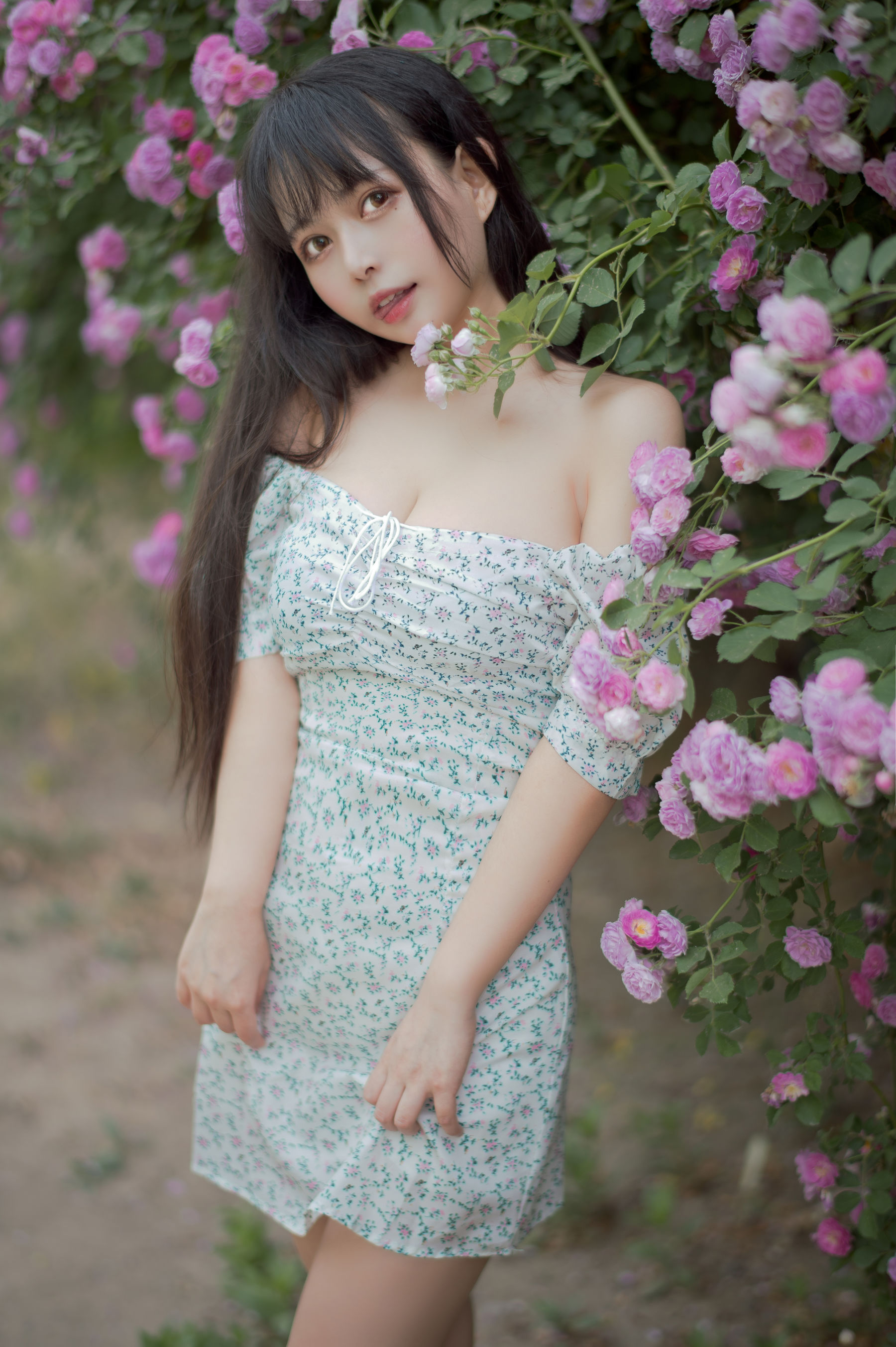 大眼萌妹黑猫猫OvO – 蔷薇2 [27P]