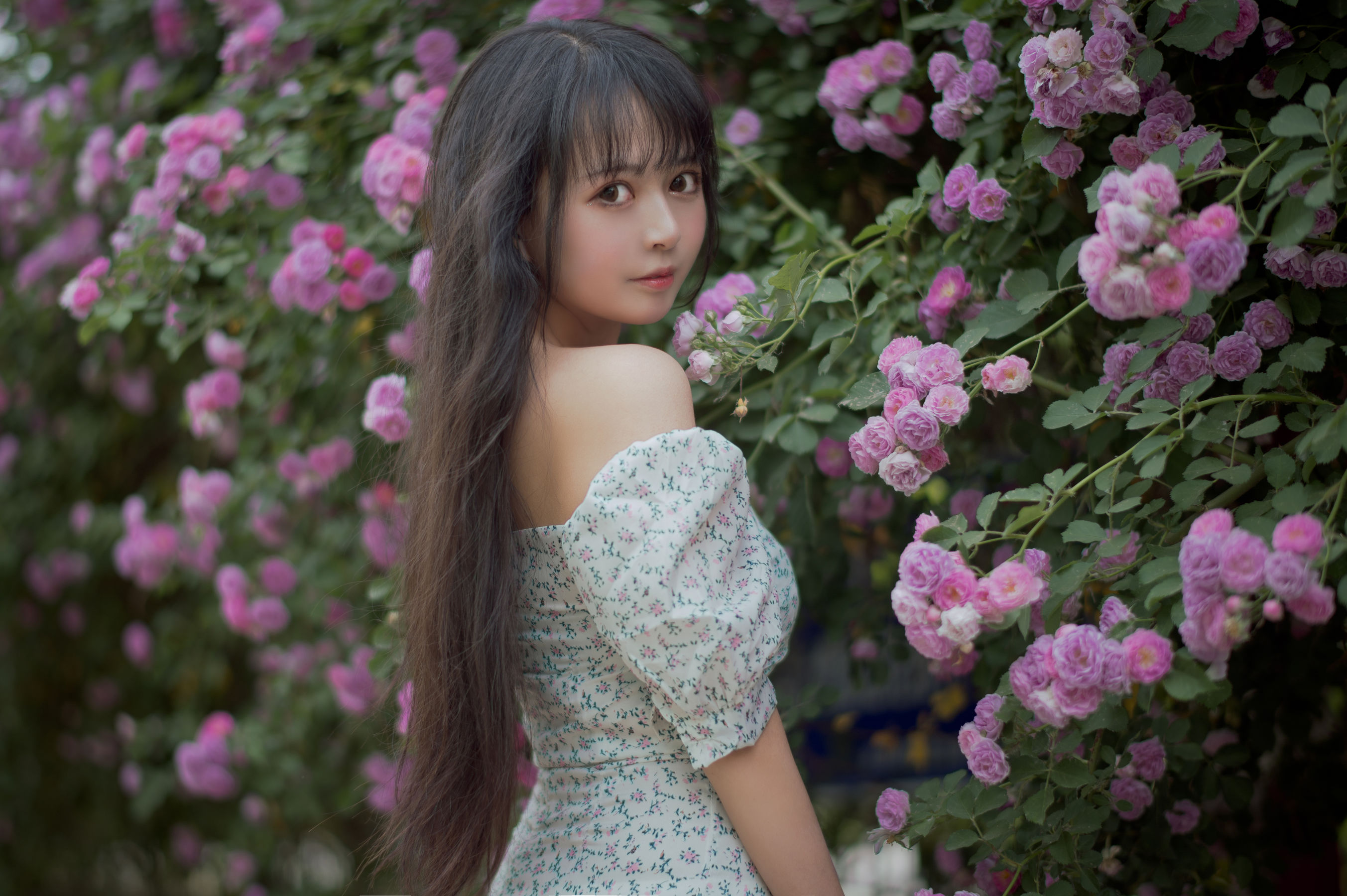 大眼萌妹黑猫猫OvO – 蔷薇2 [27P]