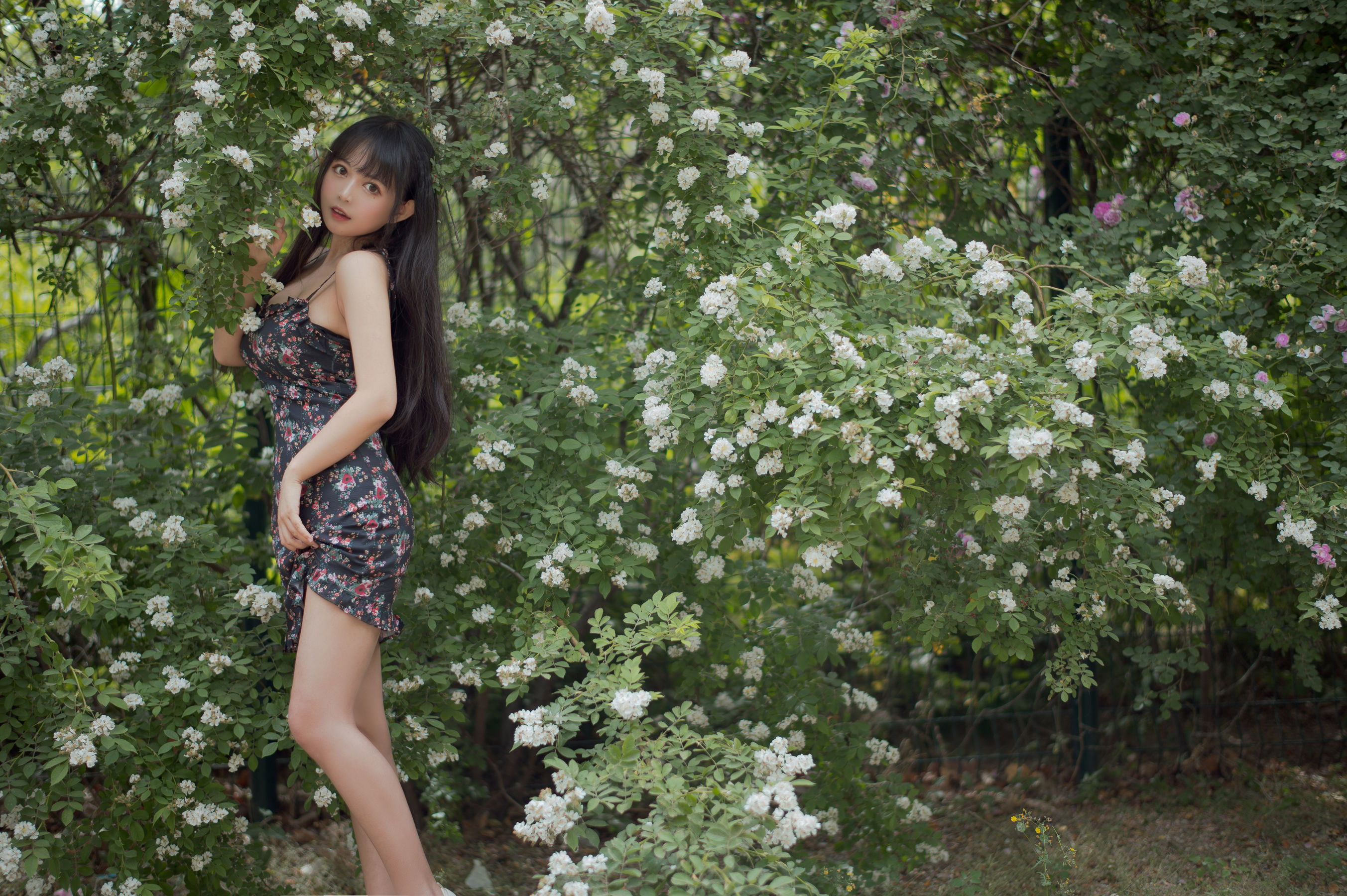 大眼萌妹黑猫猫OvO – 蔷薇1 [22P]