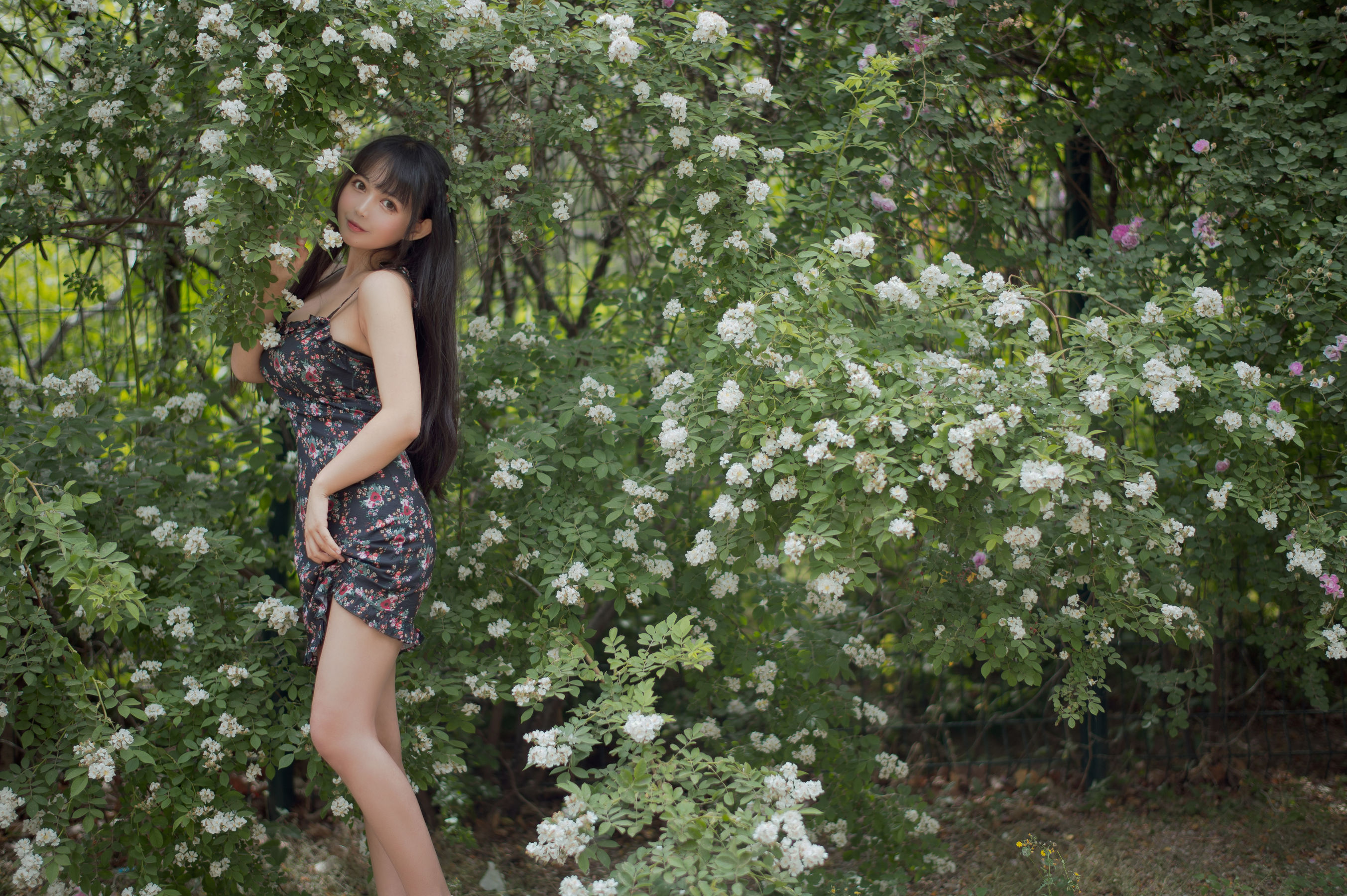 大眼萌妹黑猫猫OvO – 蔷薇1 [22P]