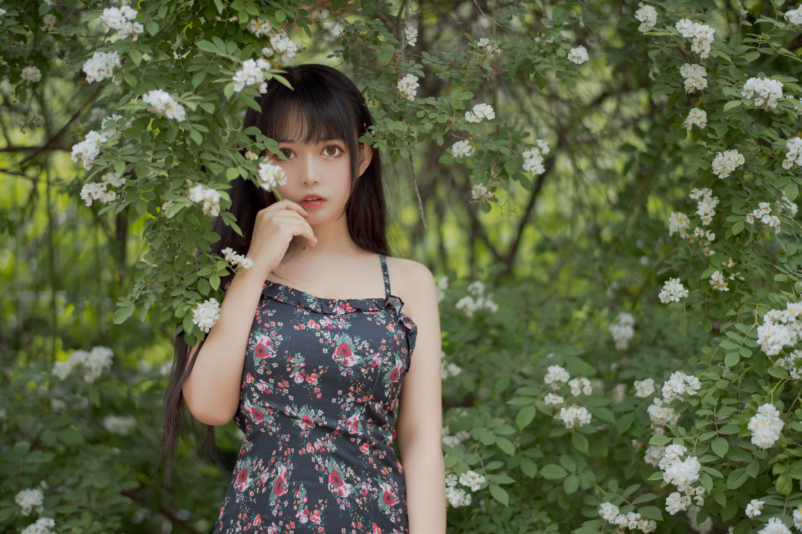 大眼萌妹黑猫猫OvO – 蔷薇1 [22P]