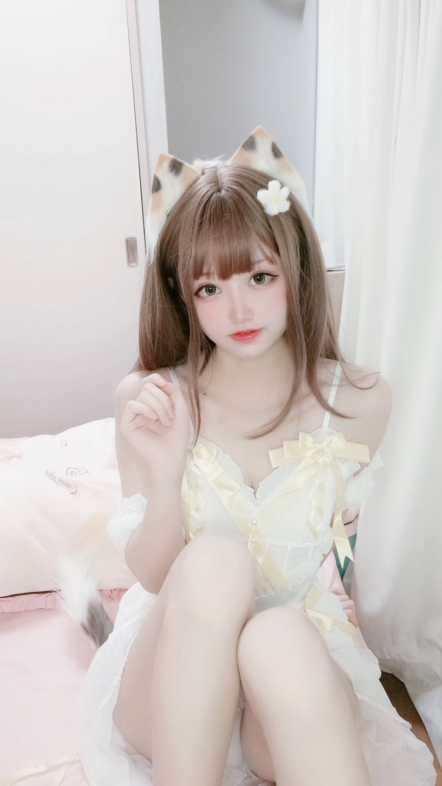 千阳(ちよ) – 三花猫 [12P]