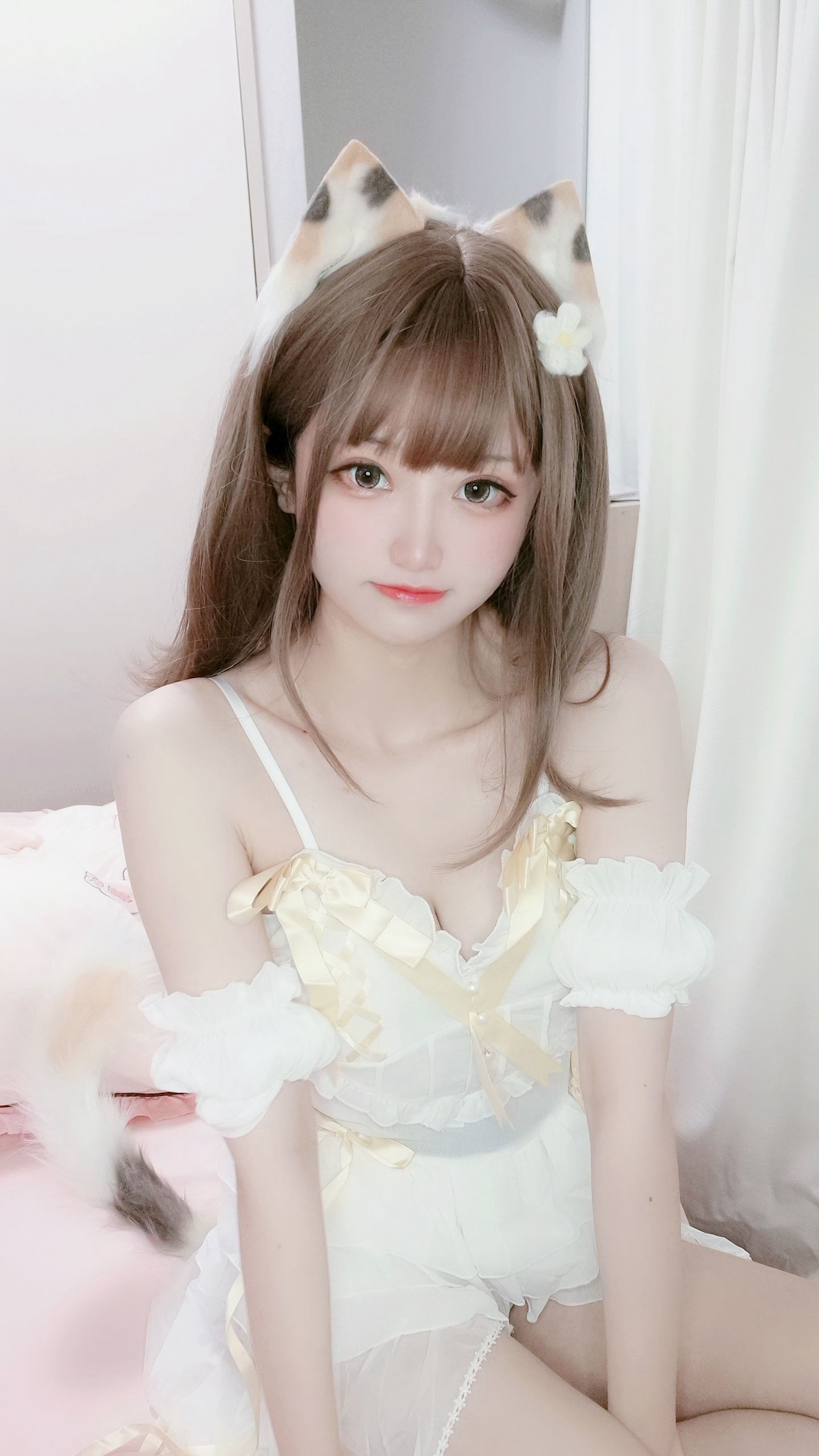 千阳(ちよ) – 三花猫 [12P]