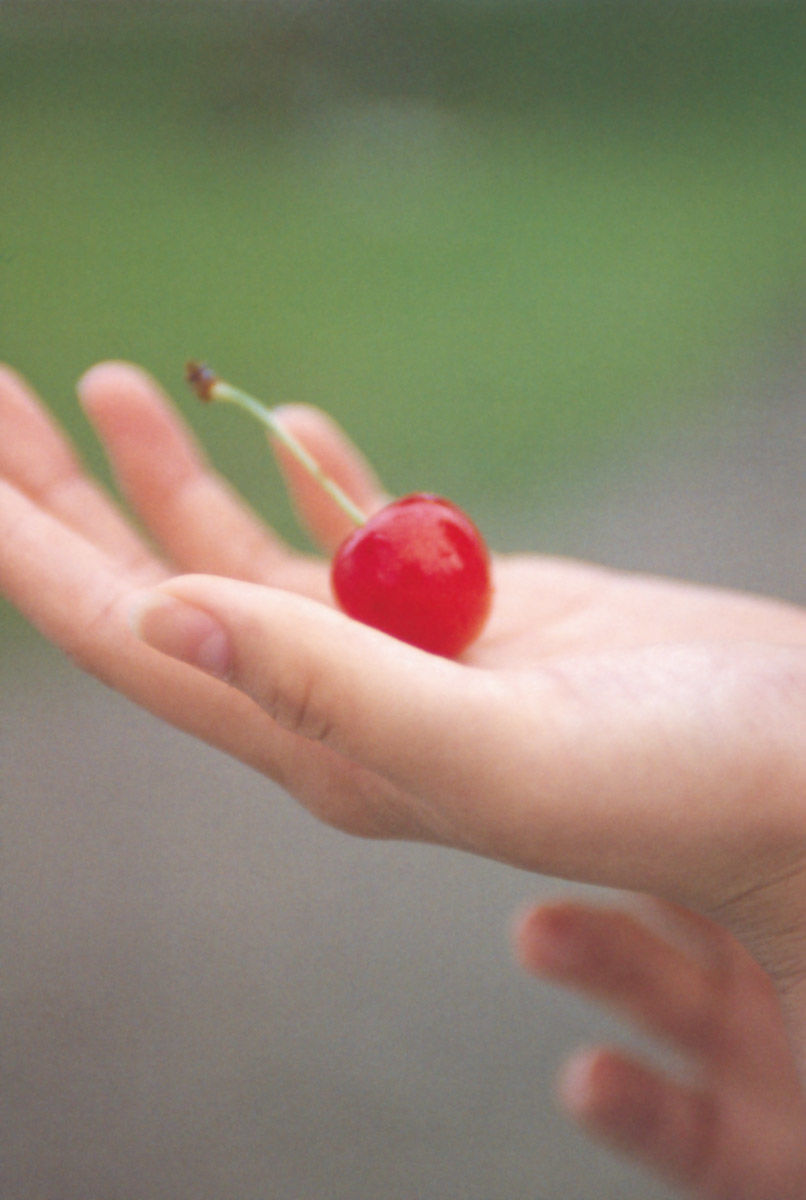 堀北真希 「进化论」 [112P]