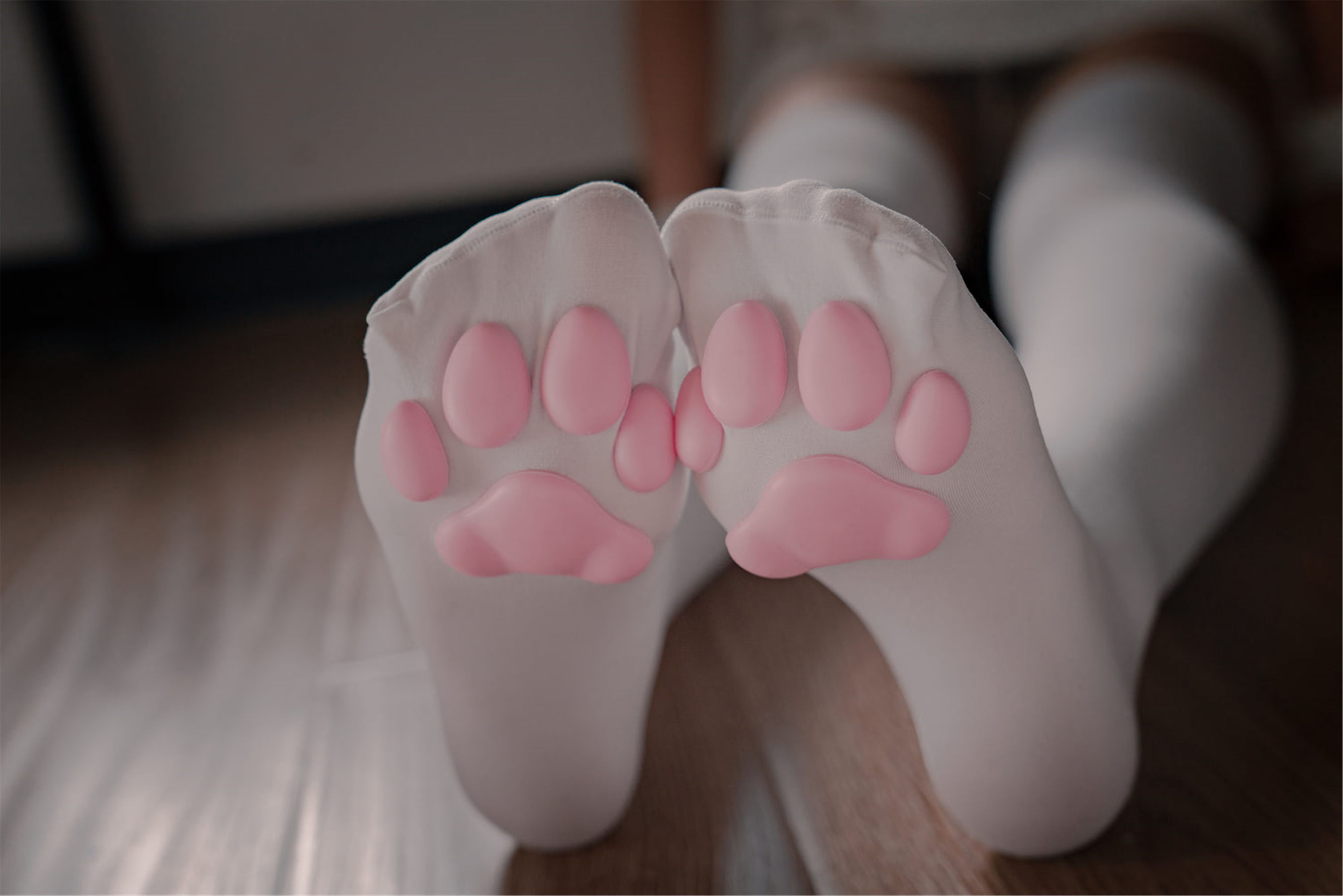 轩萧学姐 – 猫爪袜 [40P]