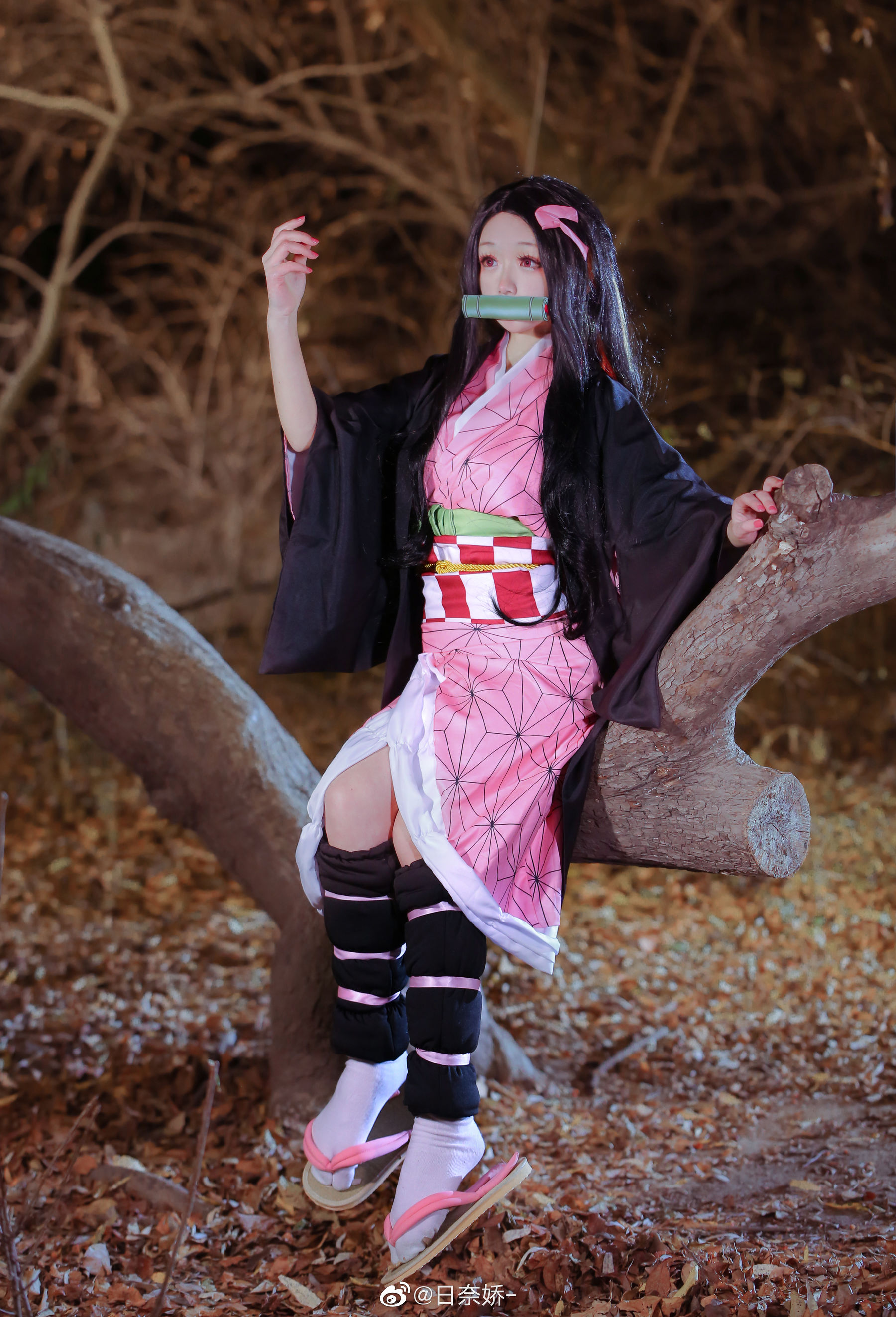 日奈娇 – 灶门祢豆子 [10P]