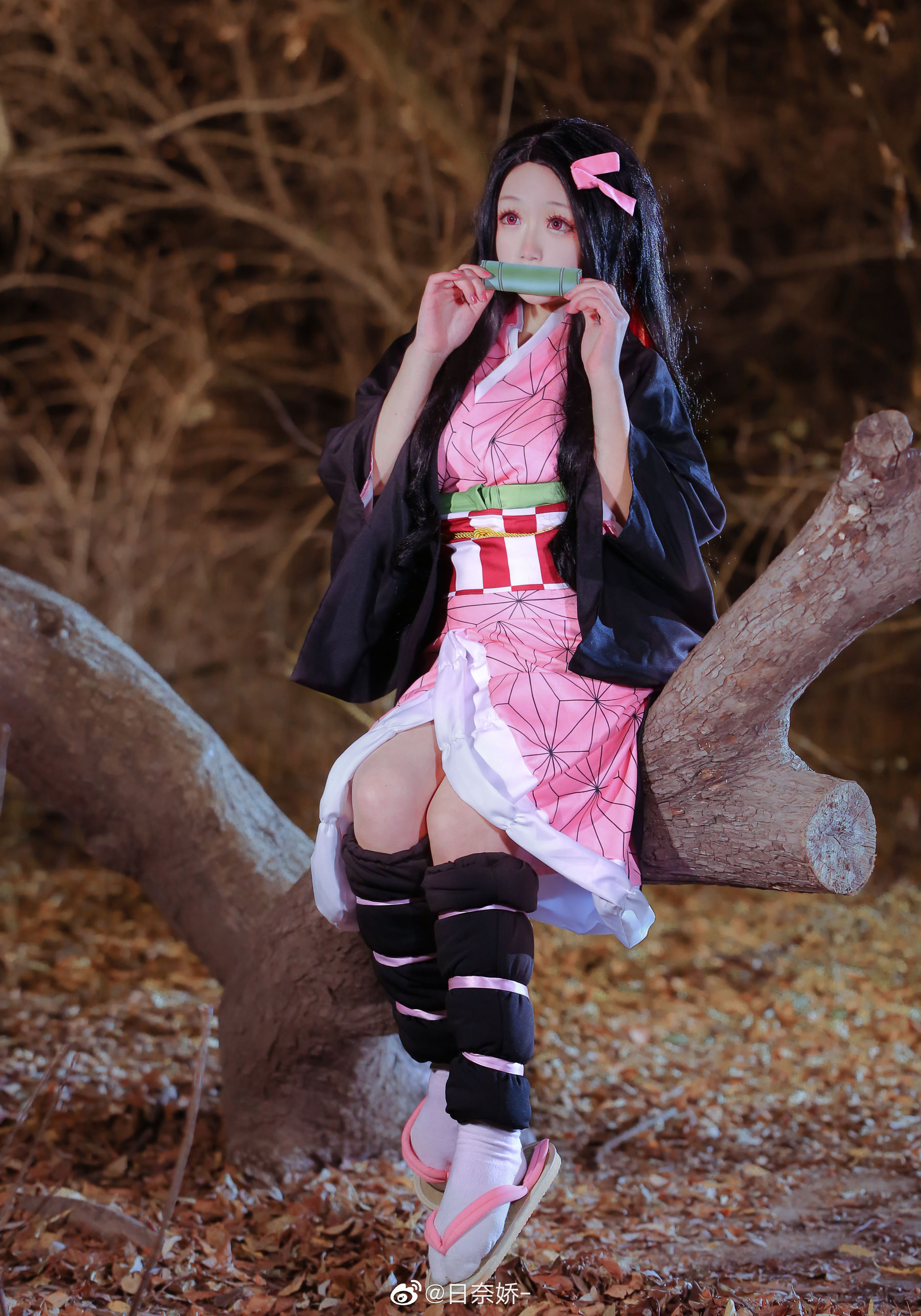 日奈娇 – 灶门祢豆子 [10P]