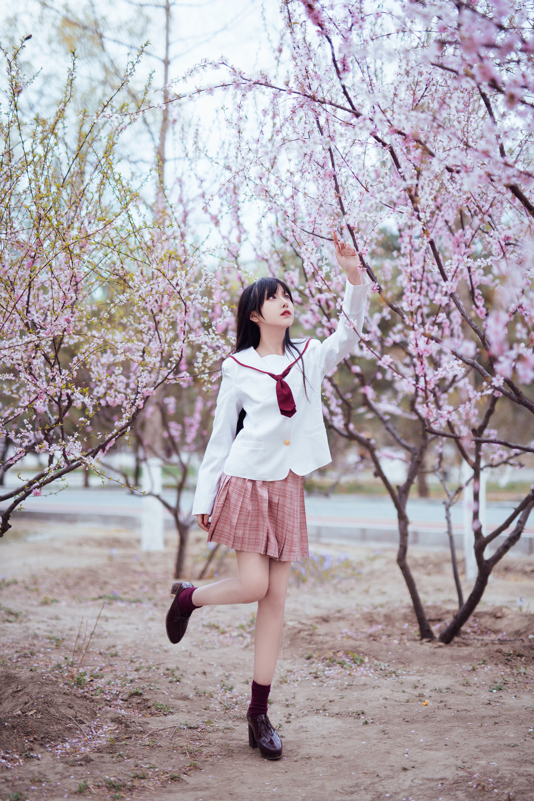 Shika小鹿鹿 – 樱花 [13P]