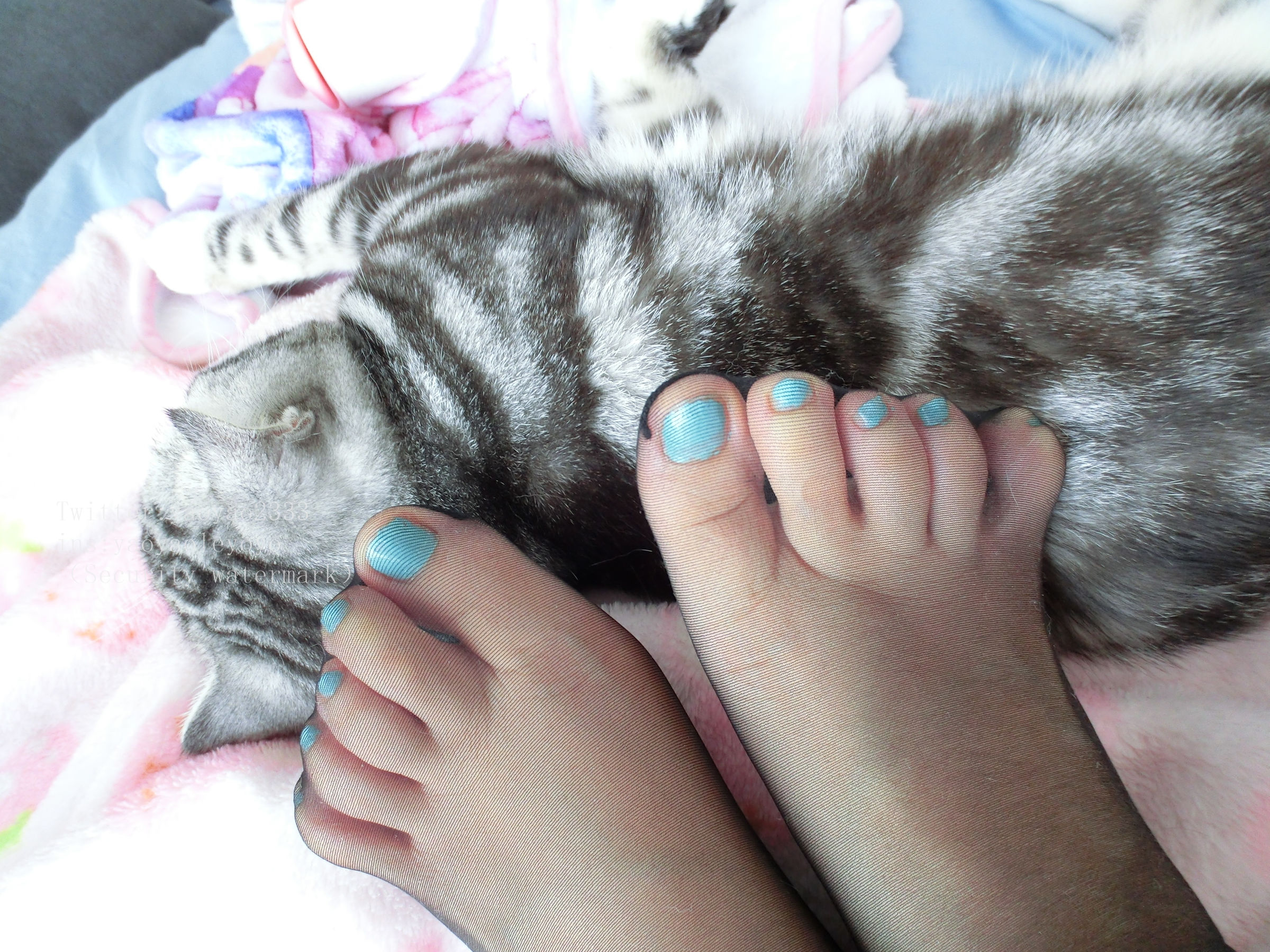 萌妹子Coser摇摇乐yoyo 黑丝美少女 [101P]