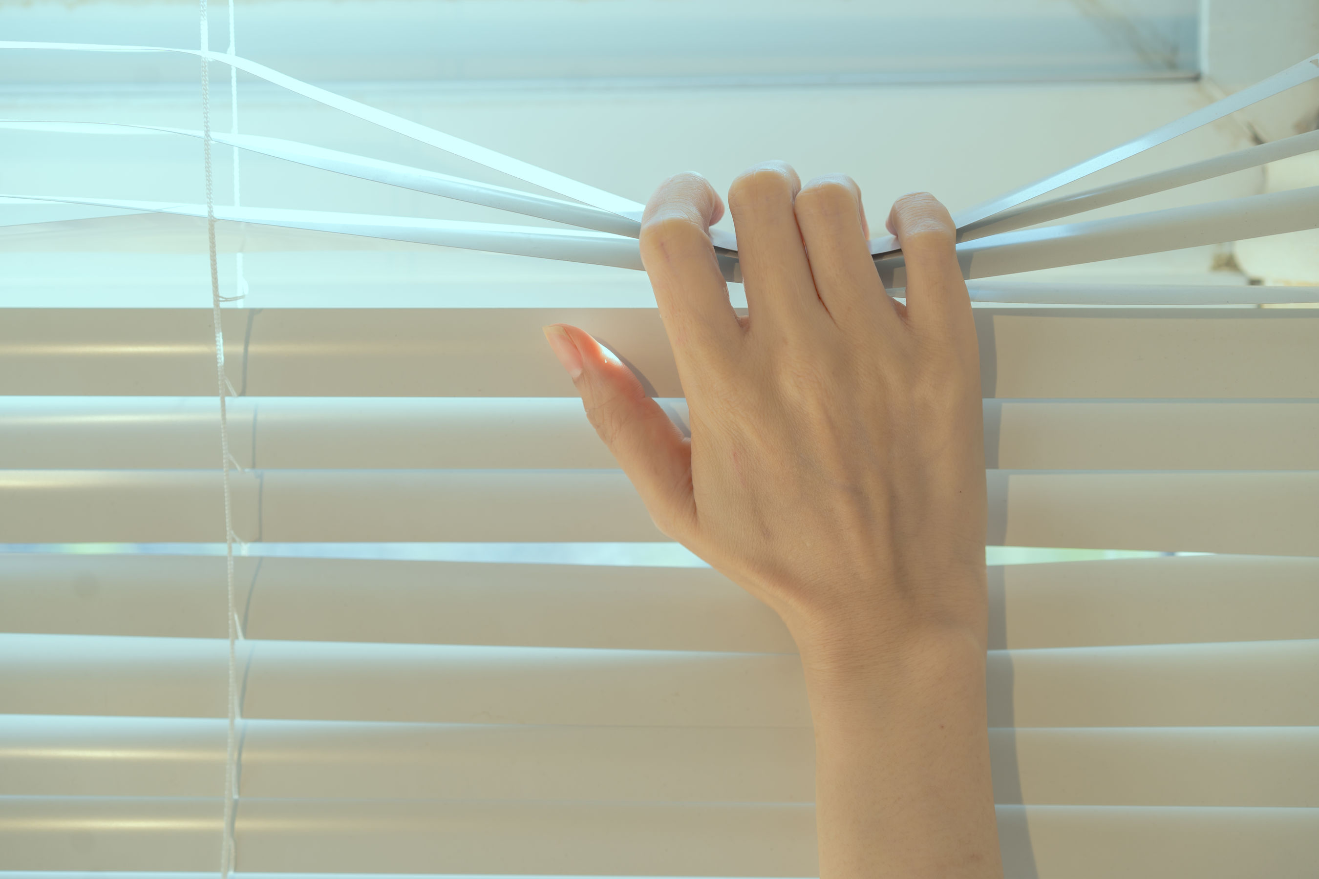 秋和柯基(夏小秋秋秋) – 星奈 [50P]