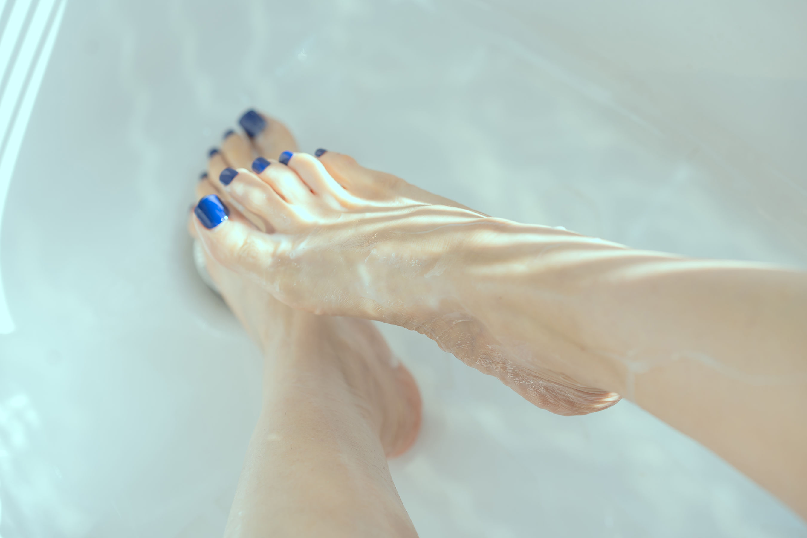 秋和柯基(夏小秋秋秋) – 星奈 [50P]