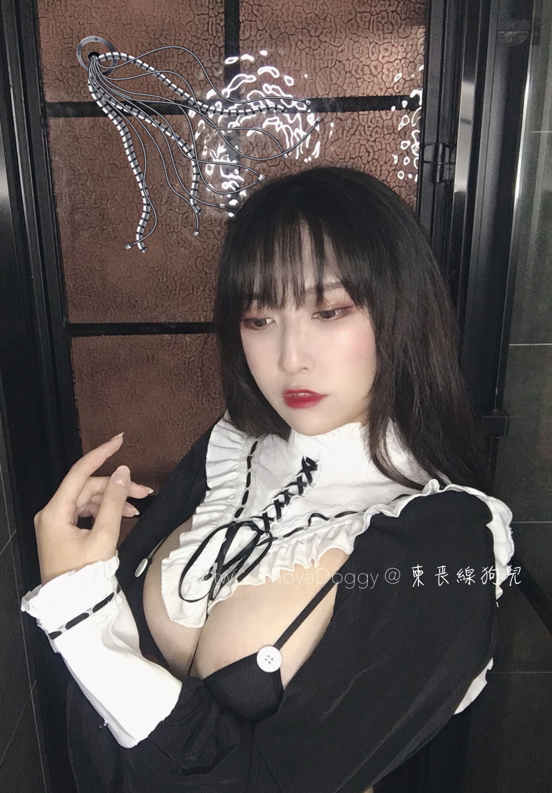 奇行家狗崽(棕桠阿狗崽) – 机械修女 [9P]