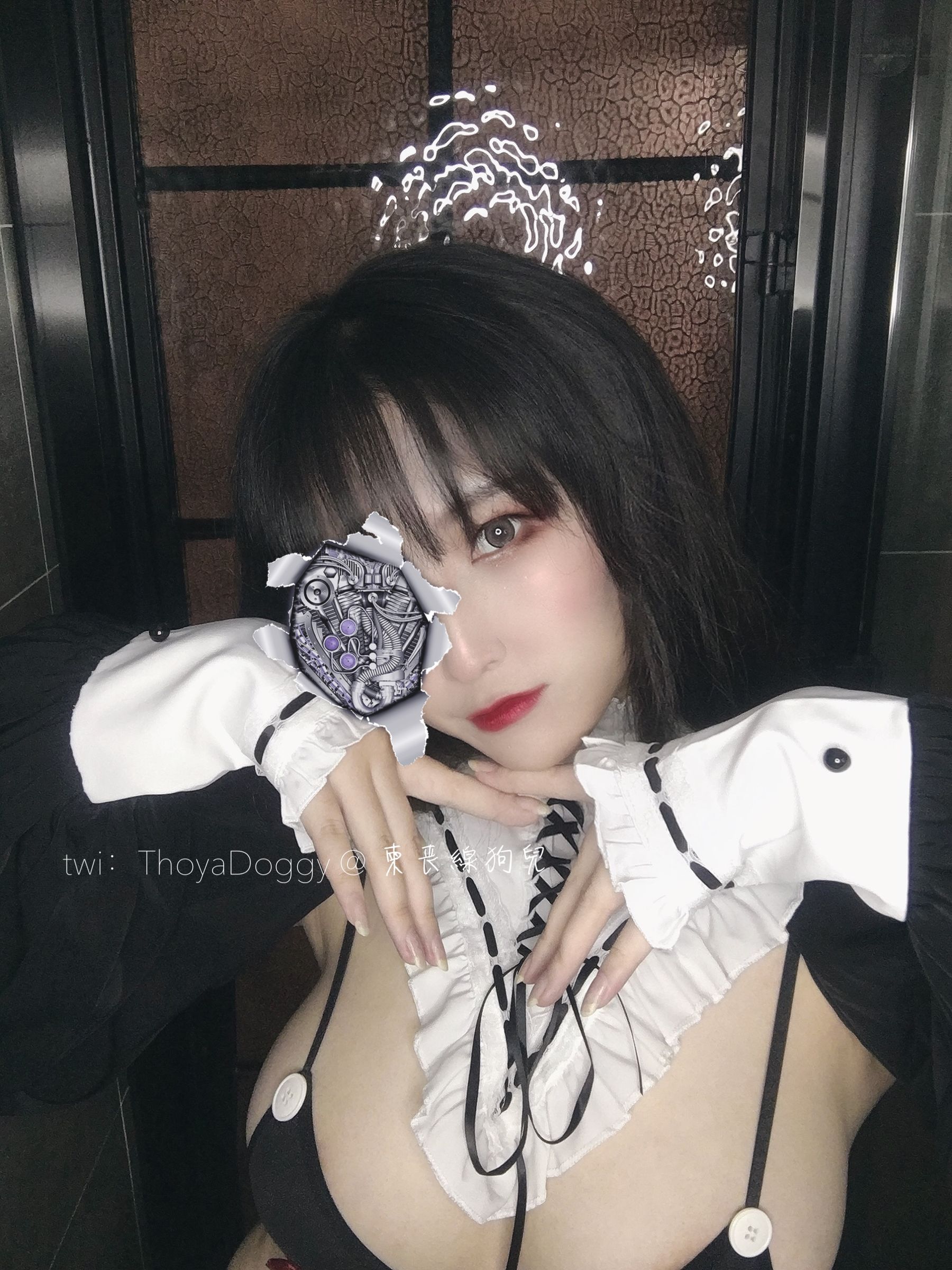 奇行家狗崽(棕桠阿狗崽) – 机械修女 [9P]