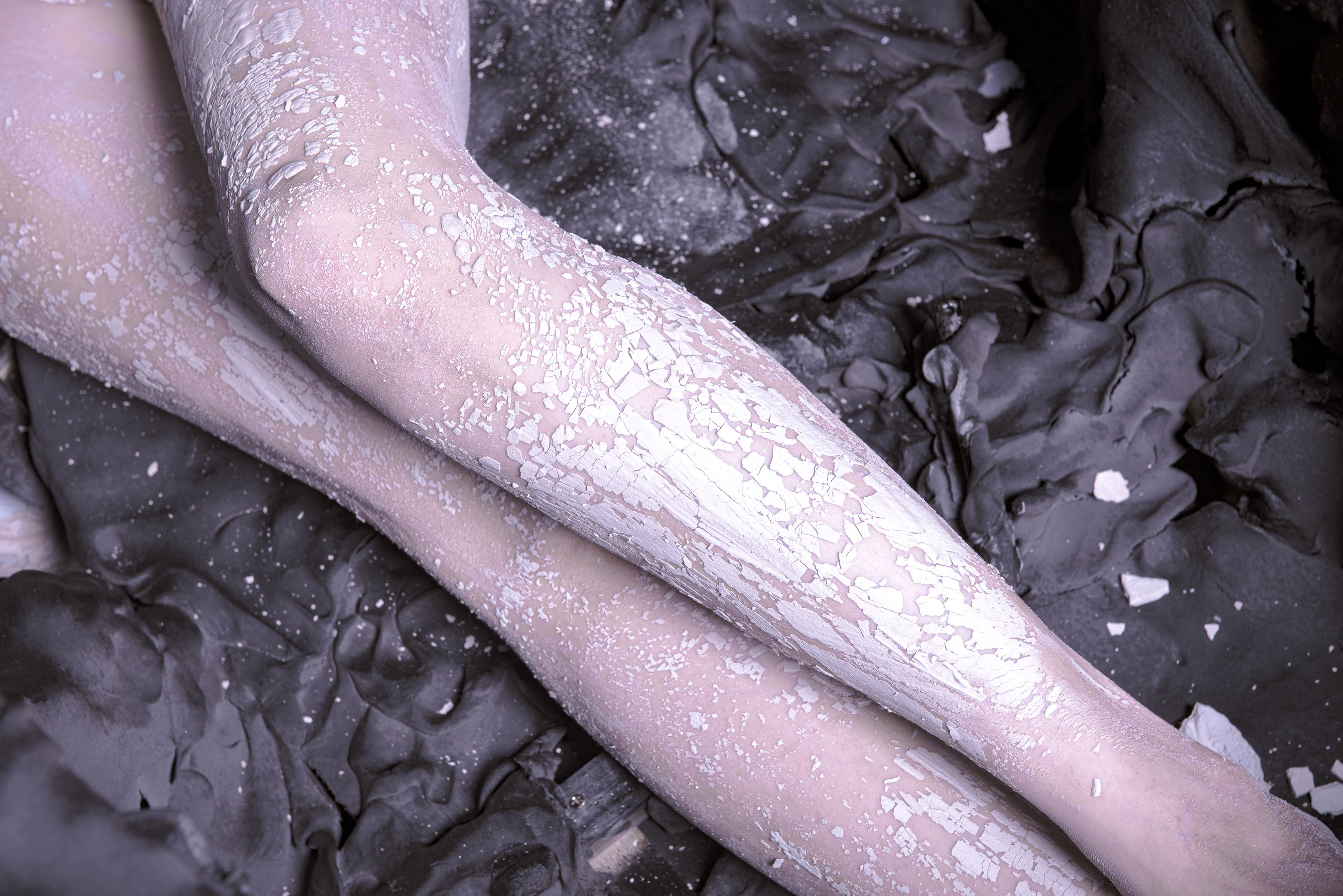 秋和柯基(夏小秋秋秋) – 复生 [72P]