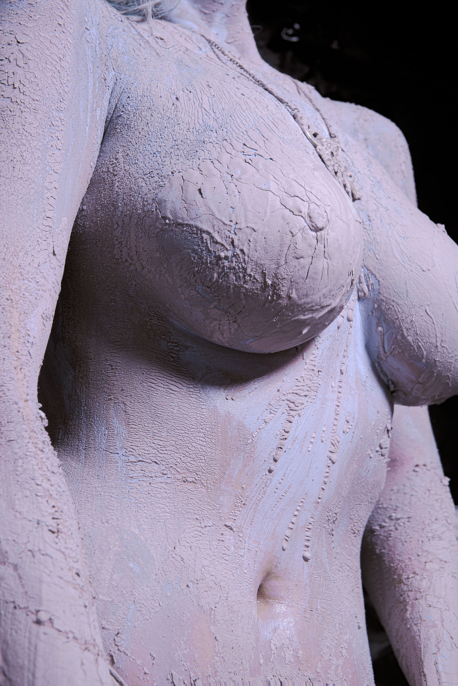 秋和柯基(夏小秋秋秋) – 复生 [72P]