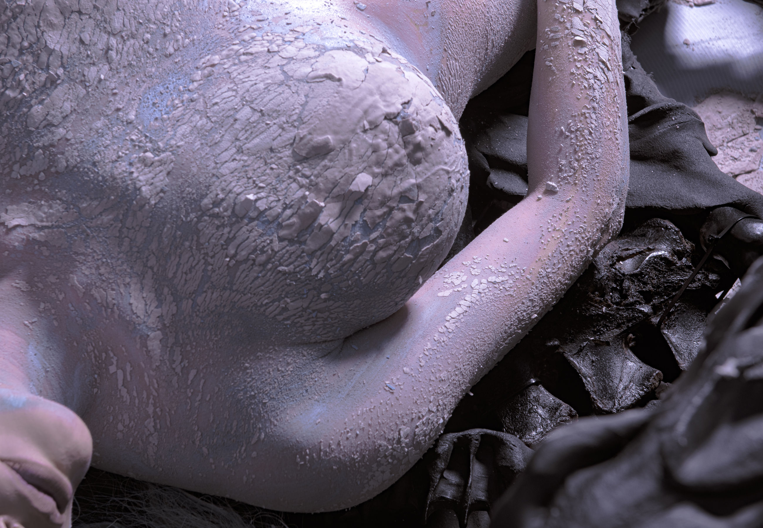 秋和柯基(夏小秋秋秋) – 复生 [72P]