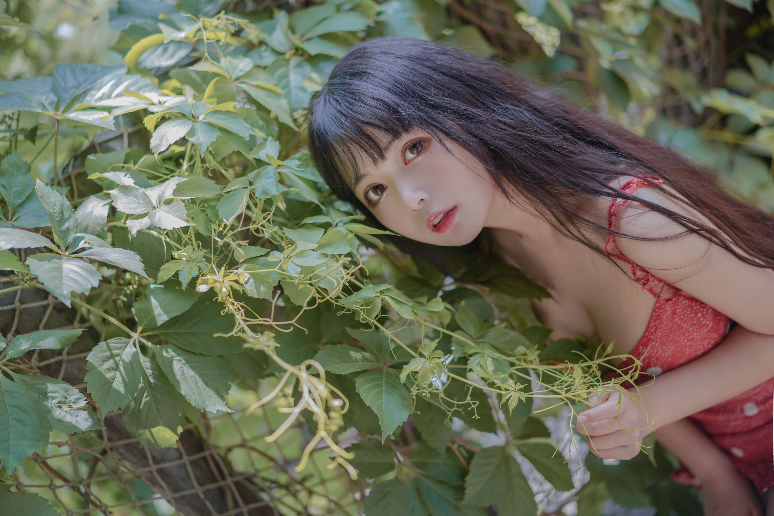 [Cosplay写真] 大眼萌妹黑猫猫OvO – 草莓 [32P]