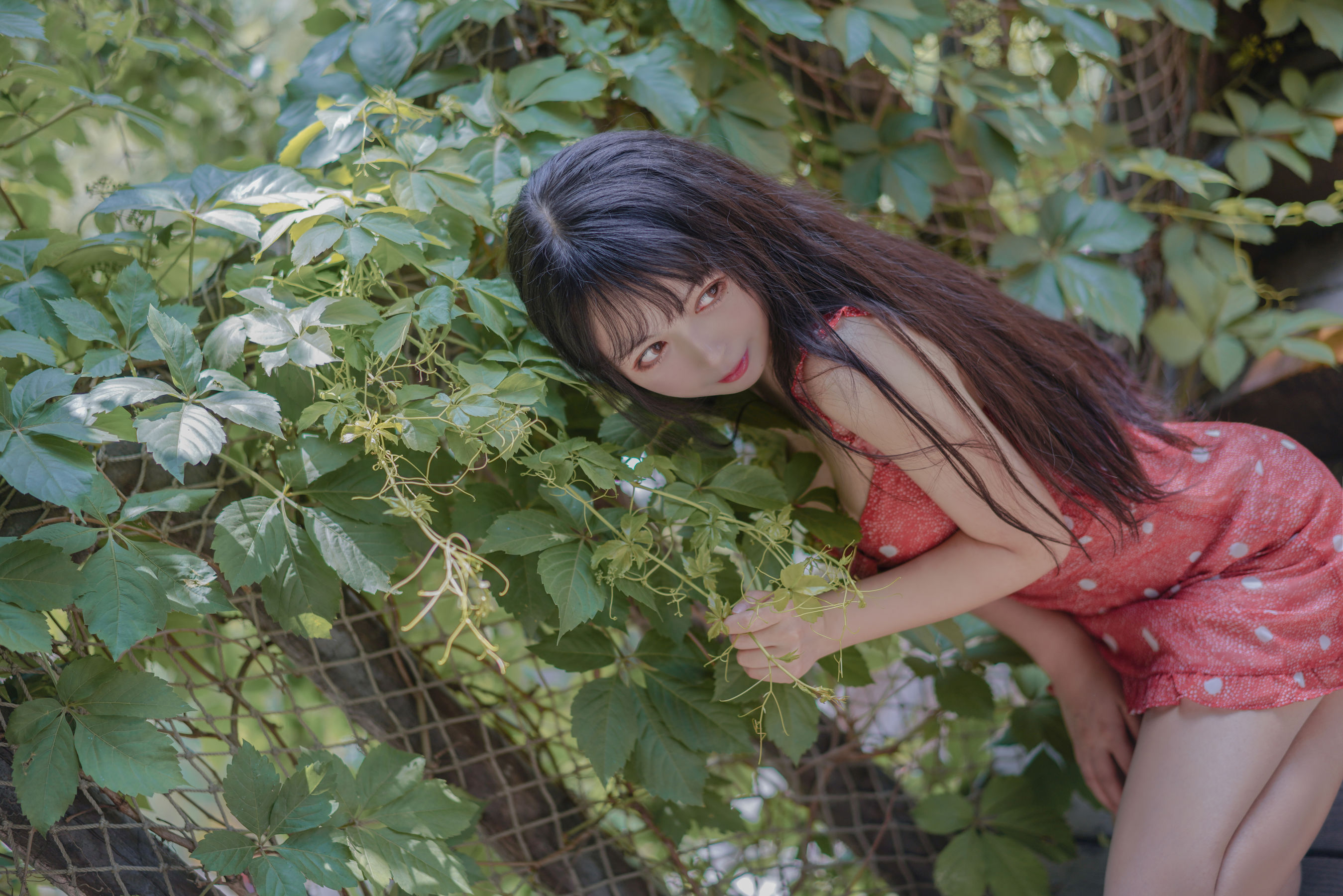 [Cosplay写真] 大眼萌妹黑猫猫OvO – 草莓 [32P]