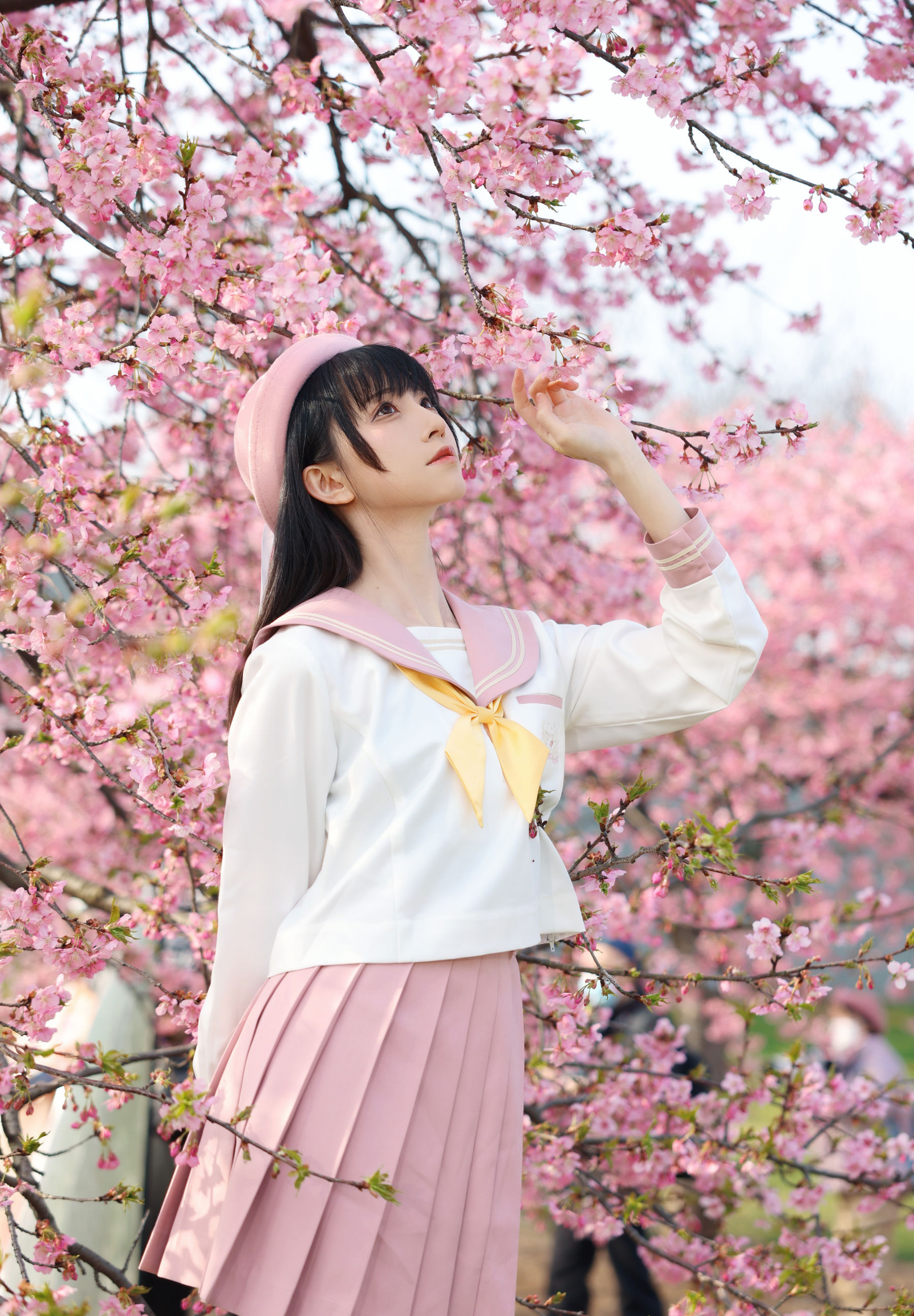 动漫博主Kitaro_绮太郎 – 樱花 [18P]