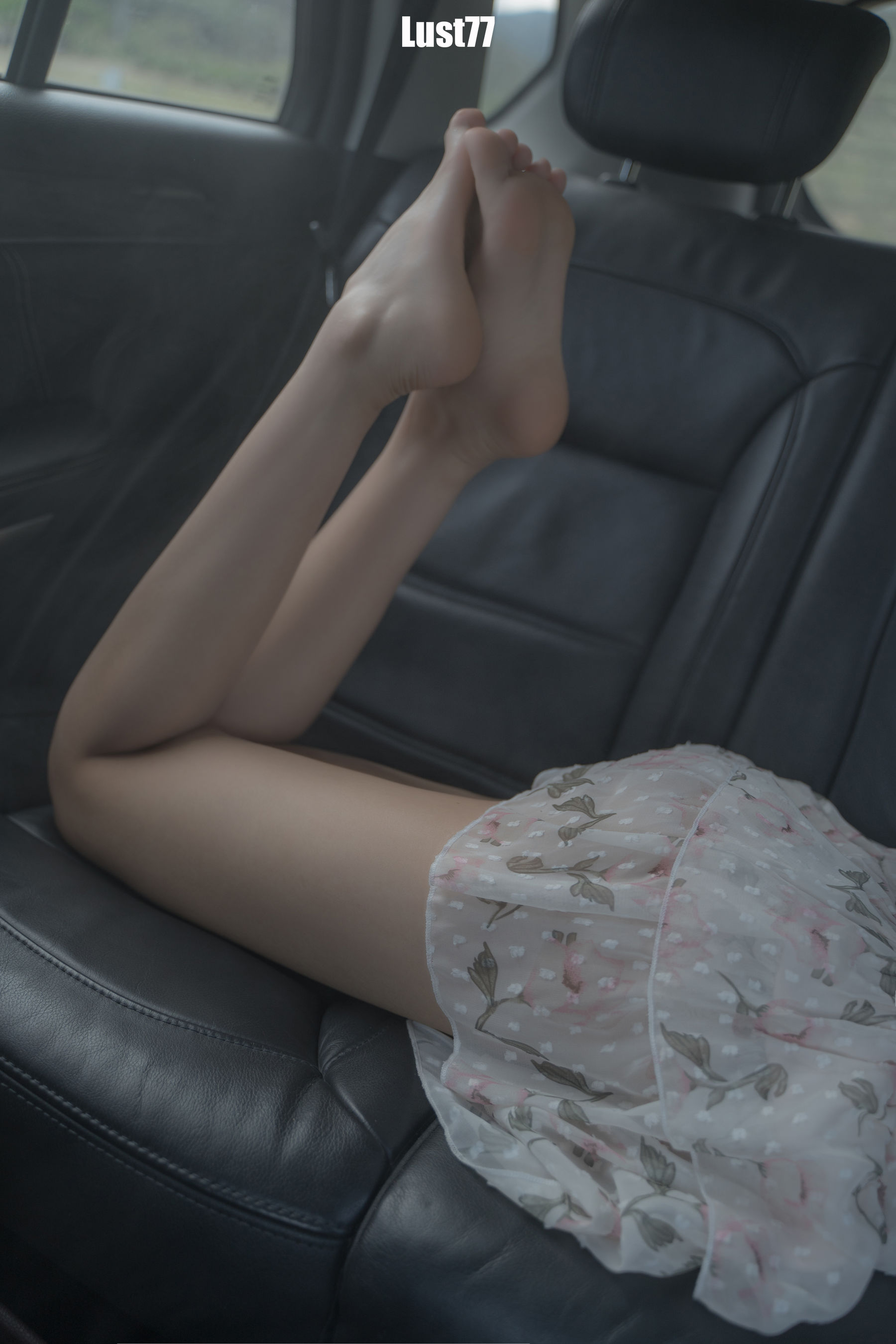 动漫博主柒柒要乖哦 – 海岚 [51P]