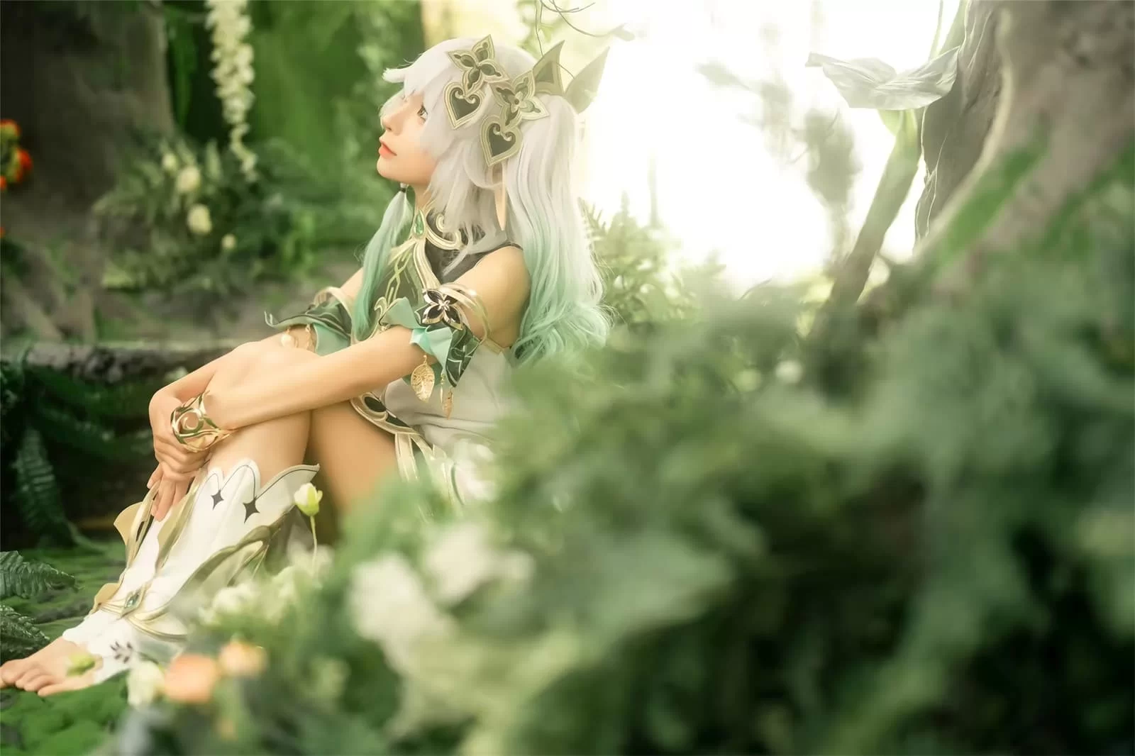 动漫博主蠢沫沫 – 春+大慈树王 [45P]