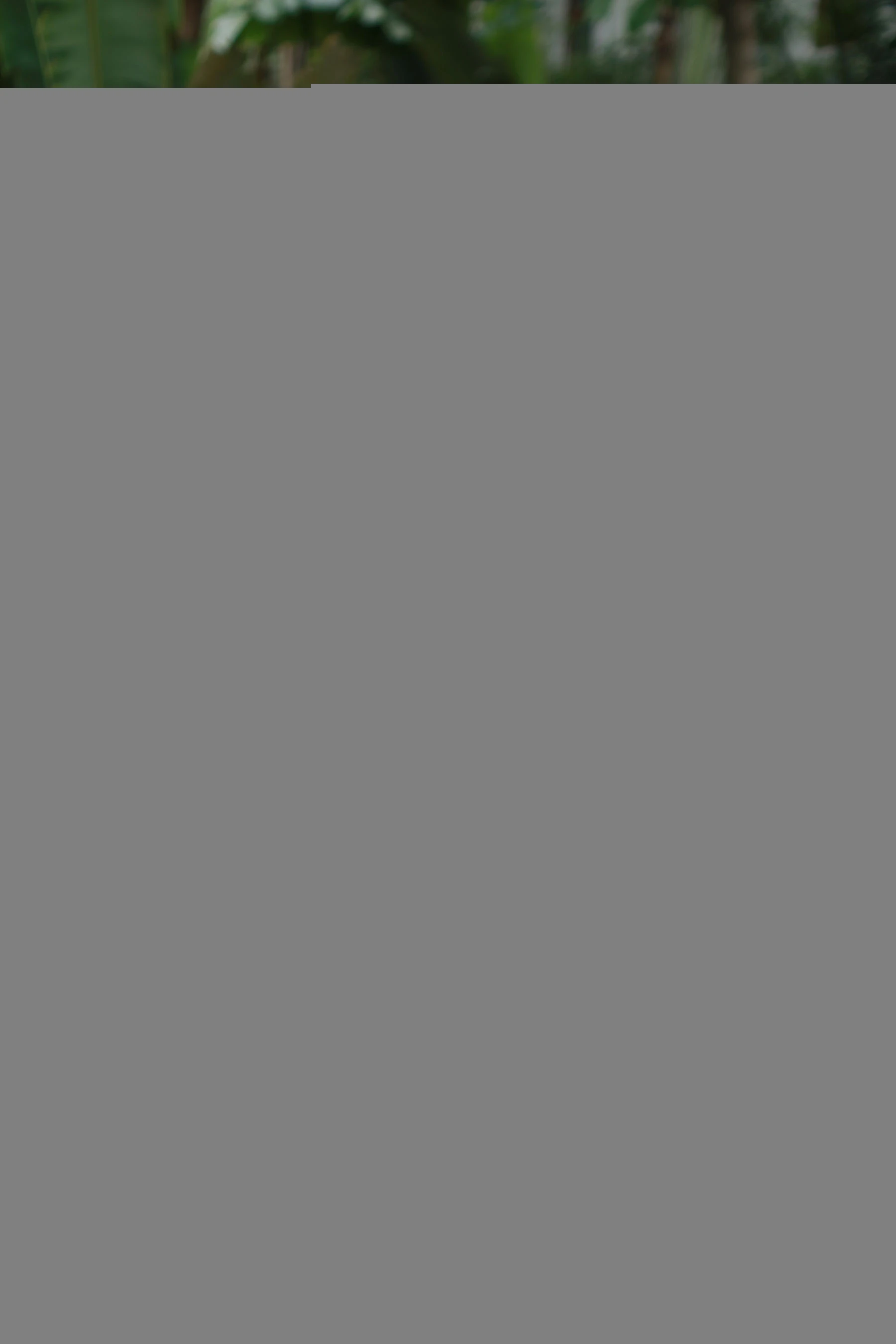 模范学院 Vol.148 李可可