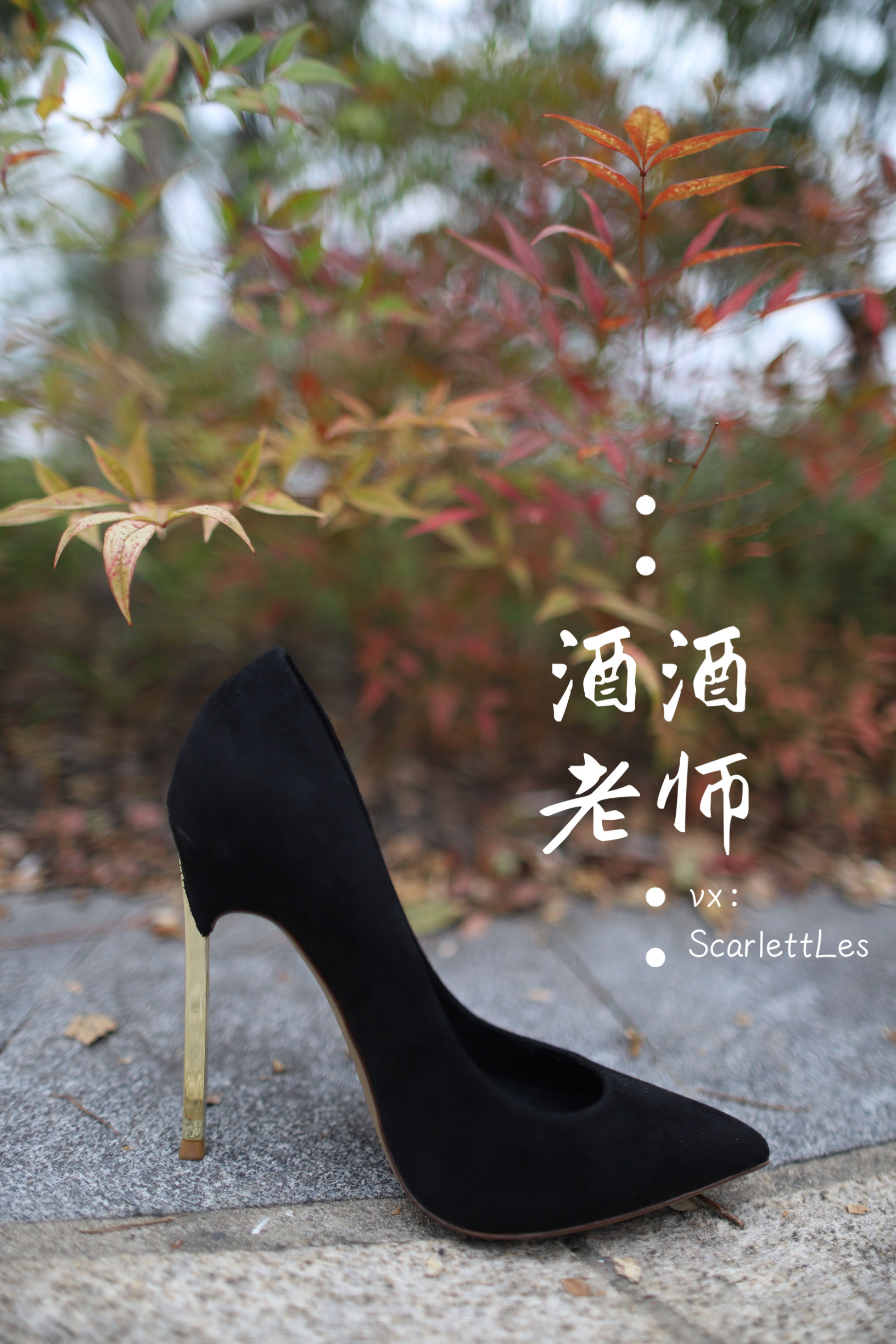 酒酒老师 – 上课前误穿黒丝 [53P]